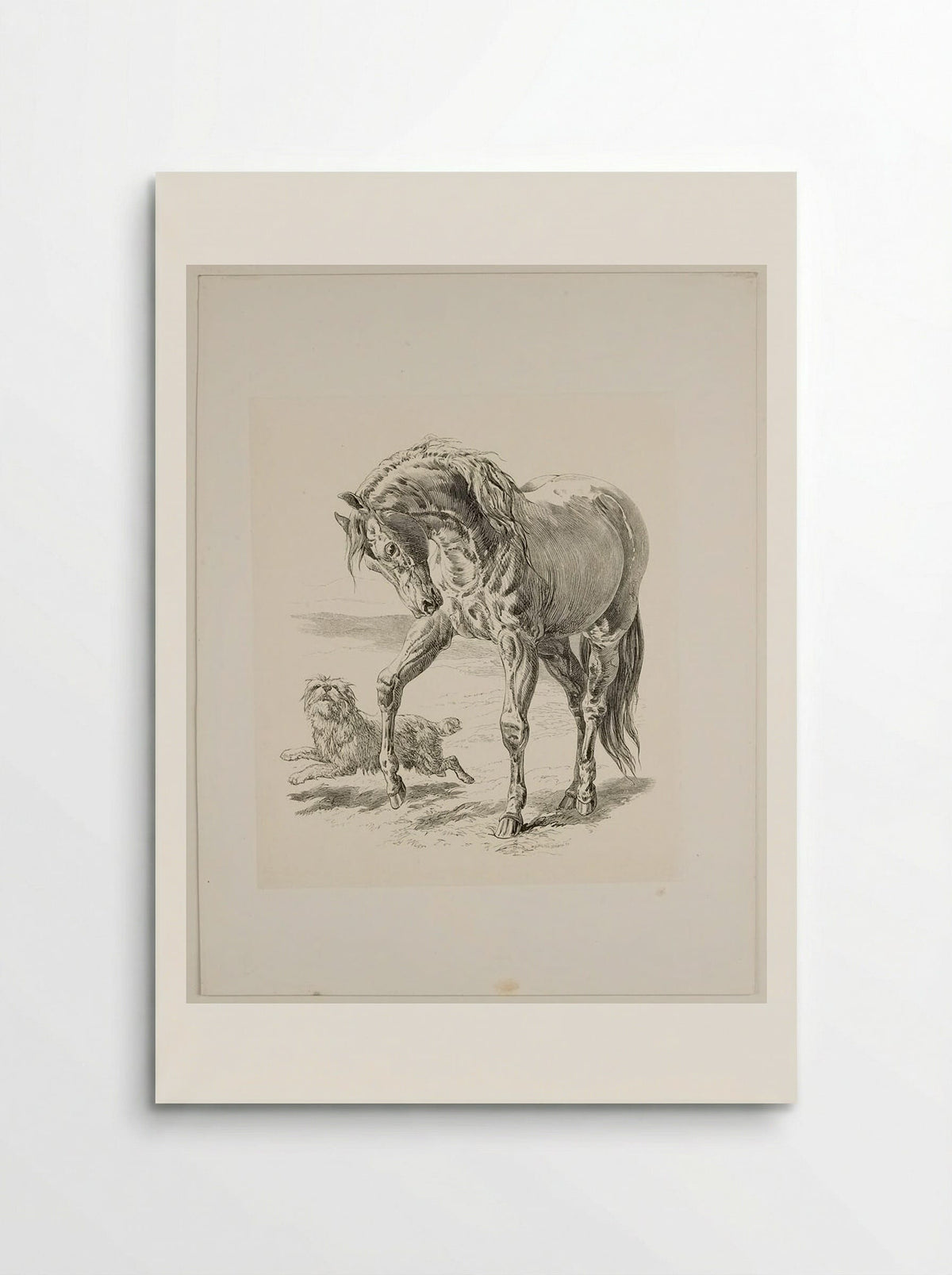 Horse and Dog - Walter Gorway - Poster