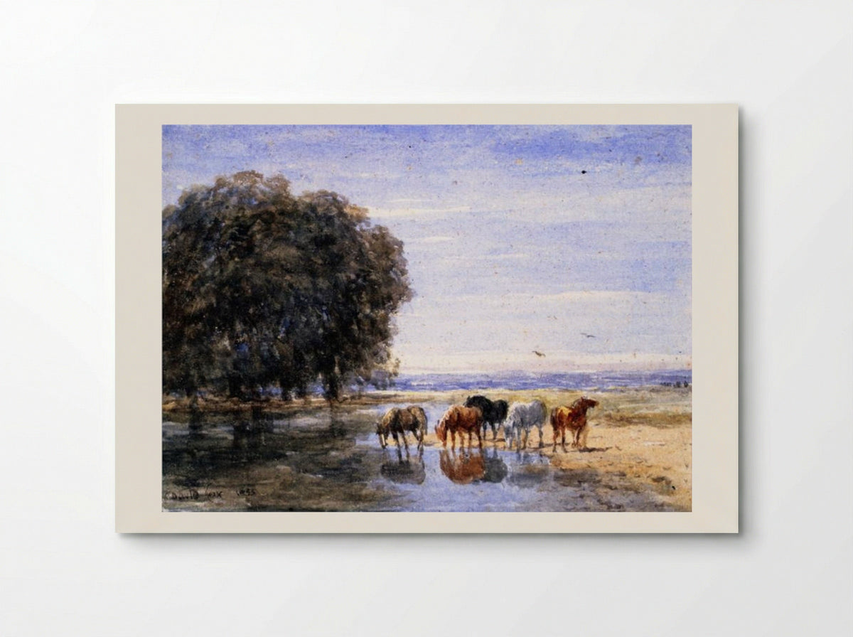 Horses Drinking - David Cox - Poster