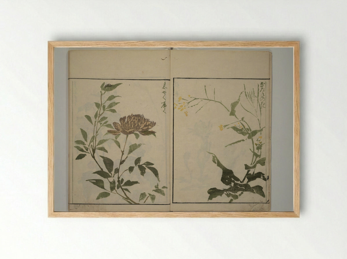 How to Draw Plants and Flowers Simply (Sōka ryakugashiki) - Kuwagata Keisai - Framed Print Wood