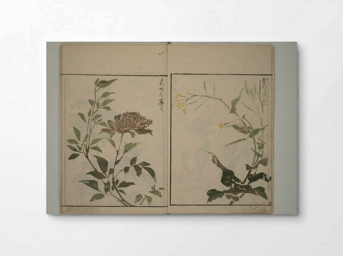 How to Draw Plants and Flowers Simply (Sōka ryakugashiki) - Kuwagata Keisai - Poster