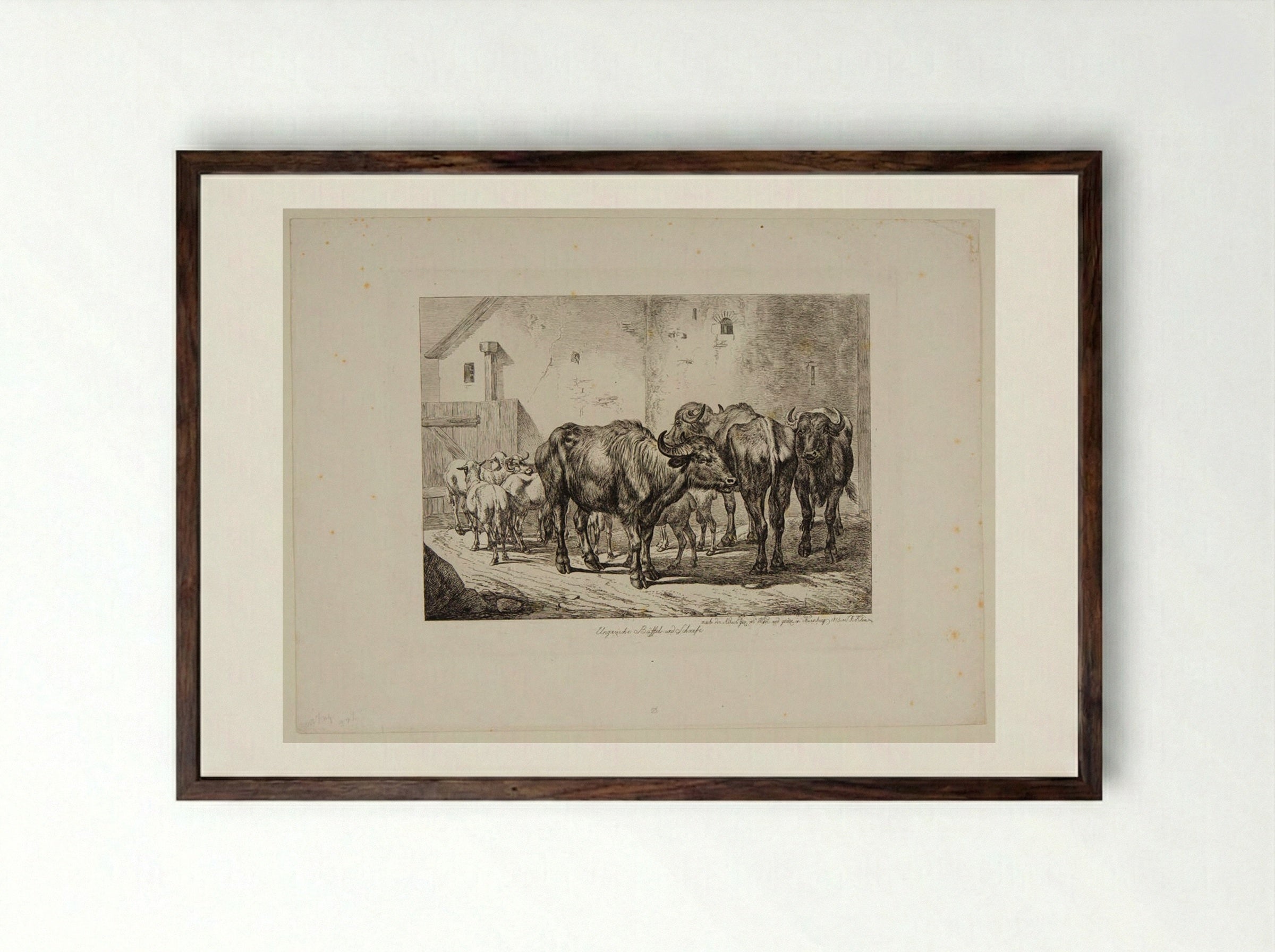 Hungarian Buffaloes and Sheep - Johann Adam Klein - Framed Print Dark Wood