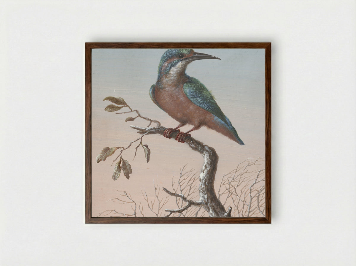 IJsvogel (Kingfisher) - Barbara Regina Dietzsch - Framed Print Dark Wood