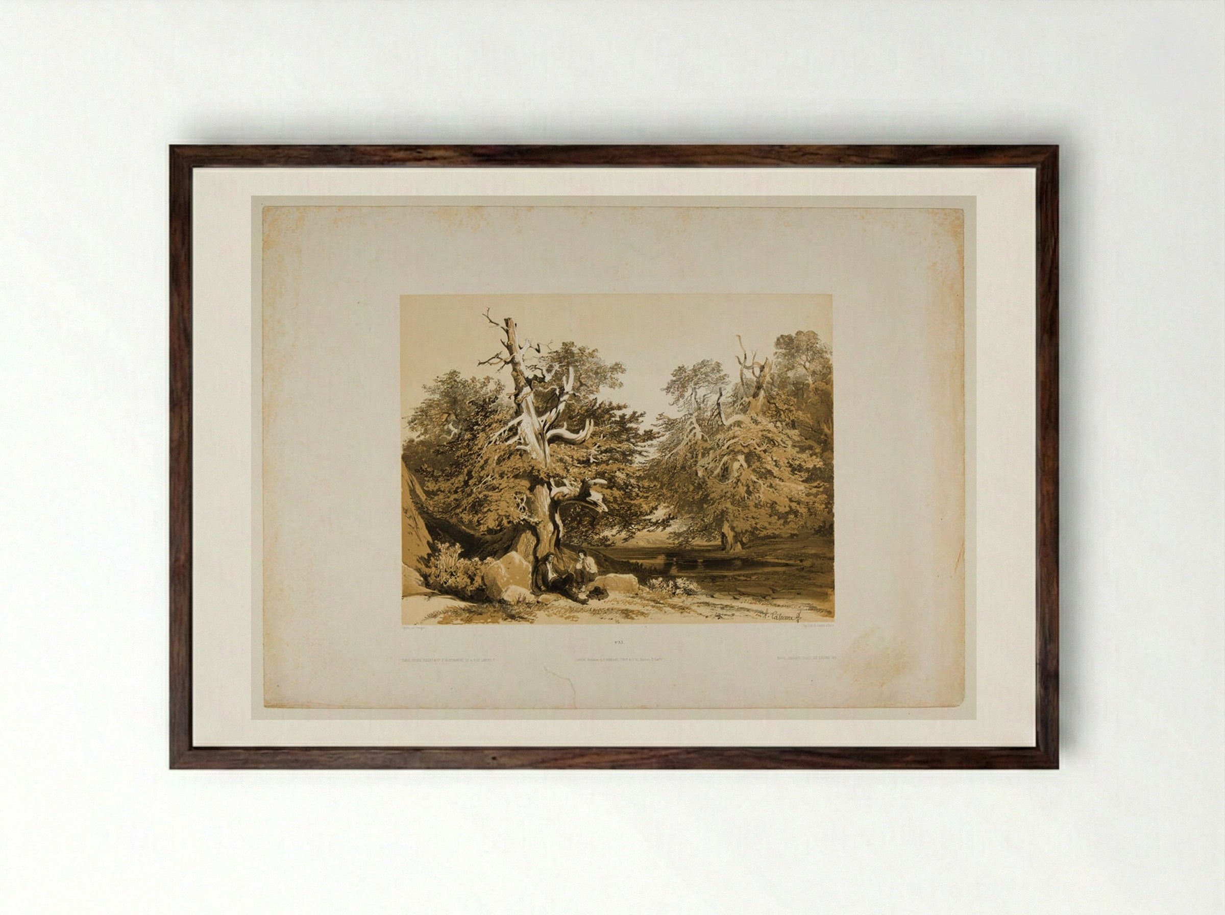 Ifs (Yew Trees) - Alexandre Calame - Framed Print Dark Wood