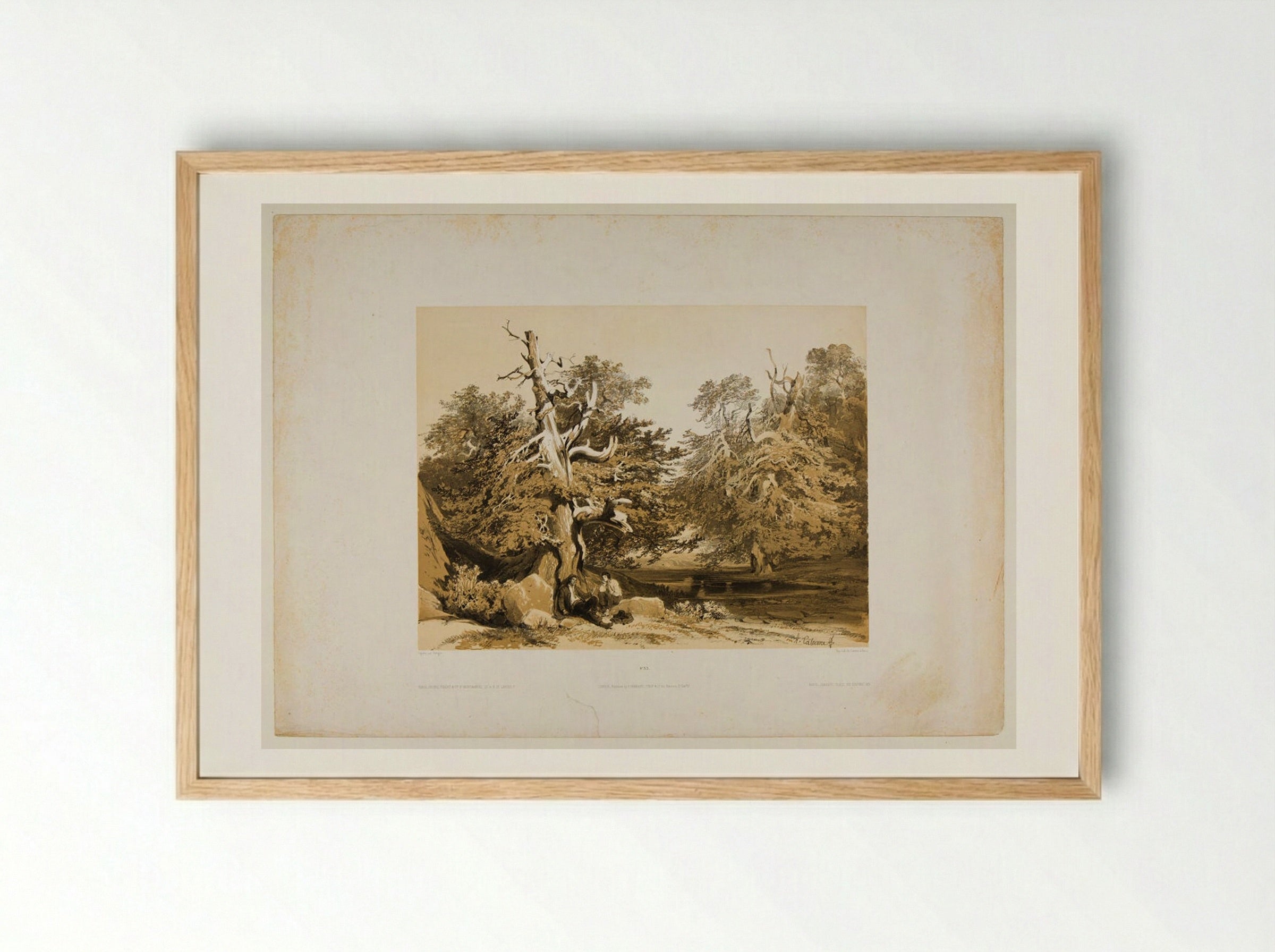 Ifs (Yew Trees) - Alexandre Calame - Framed Print Wood
