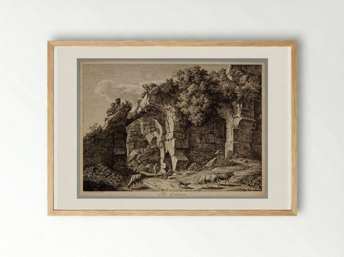 In the Colosseum - Johann Christian Reinhart - Framed Print Wood