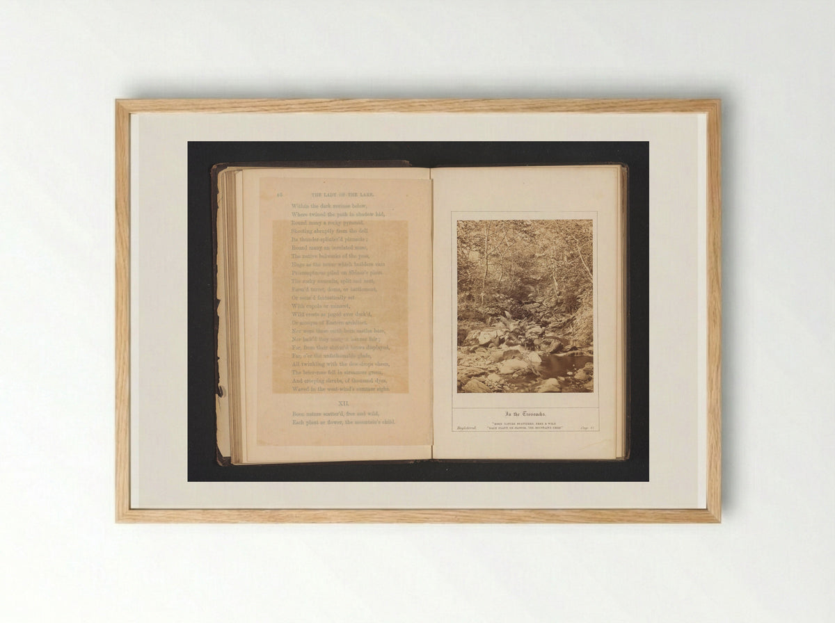 In the Trossachs - George Washington Wilson - Framed Print Wood