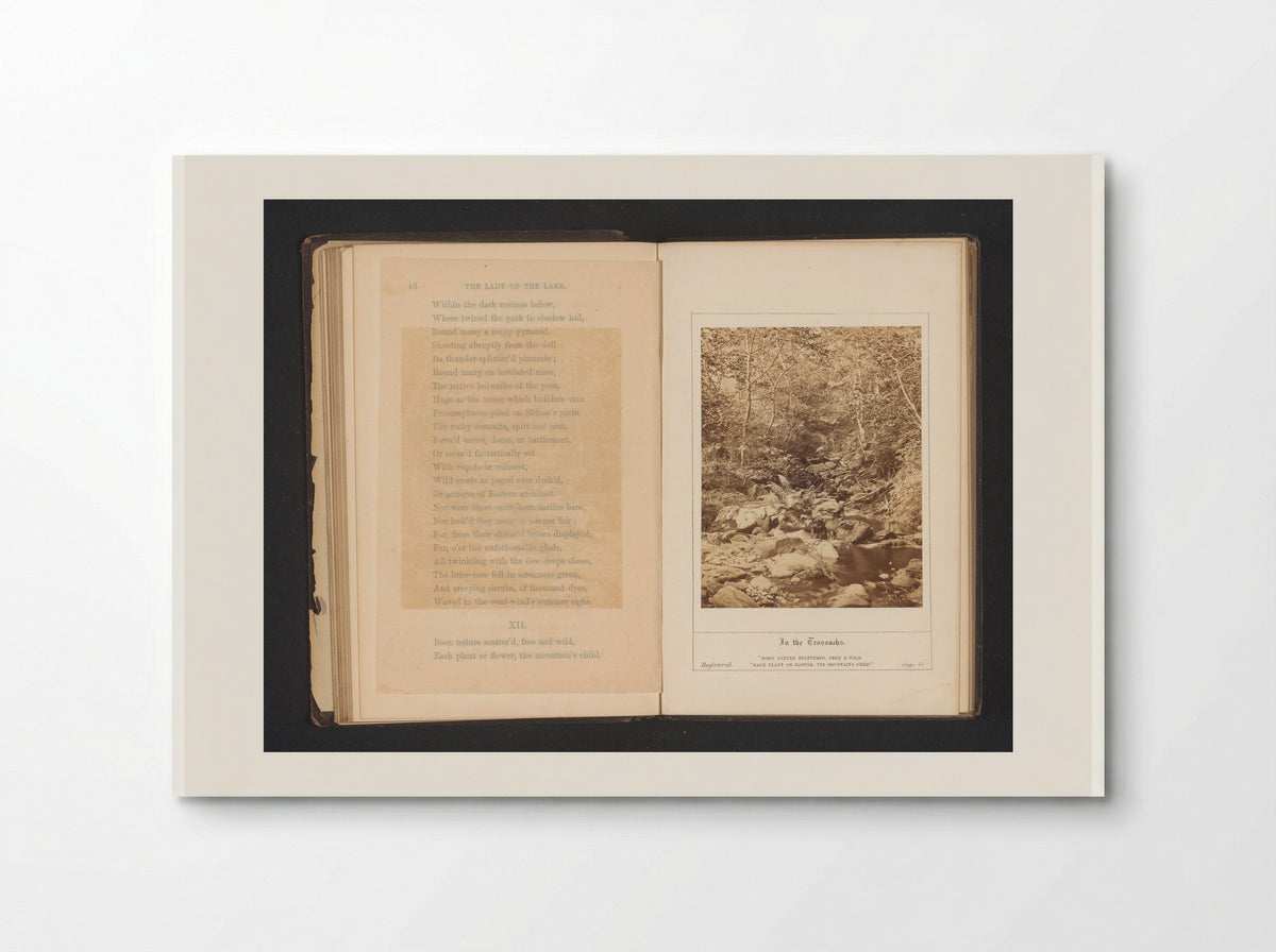 In the Trossachs - George Washington Wilson - Poster