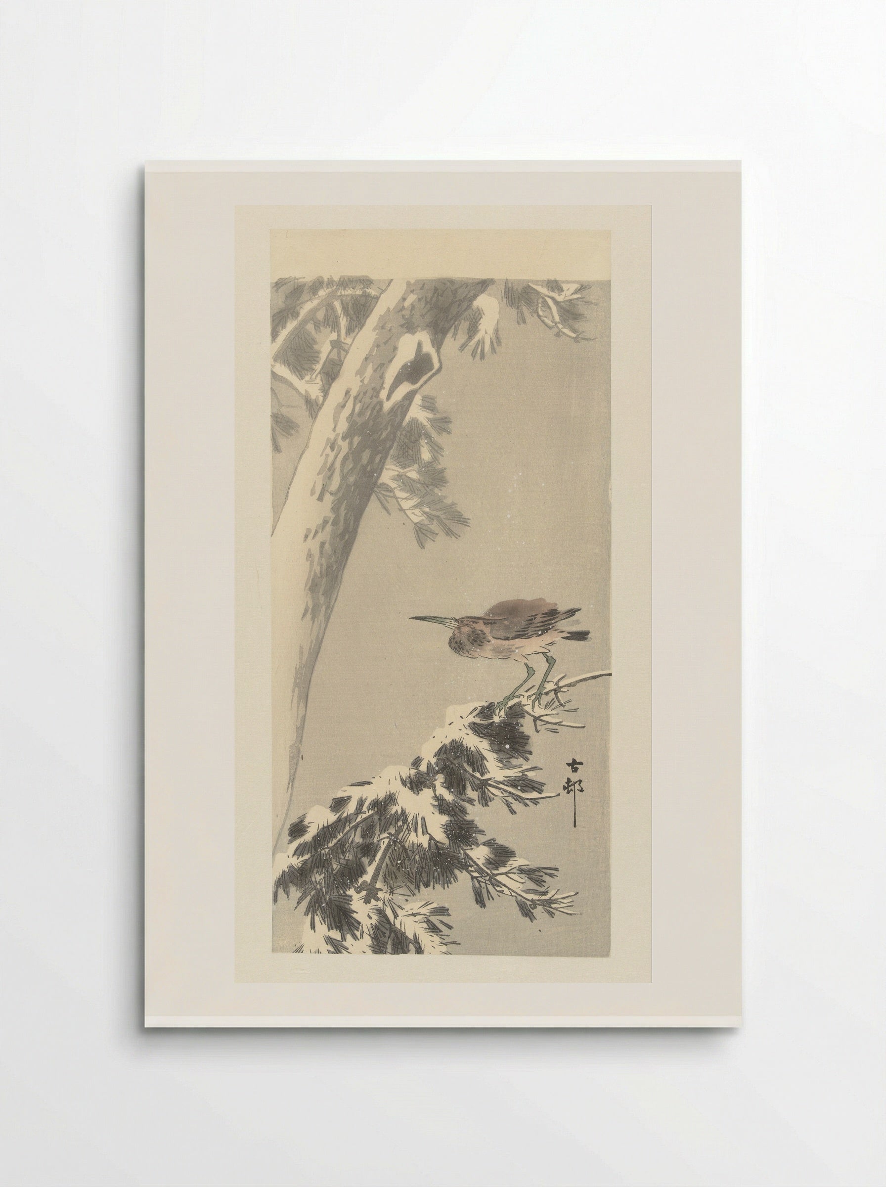 Indian Pond Heron on a Snowy Tree Branch - Matsuki Heikichi - Poster