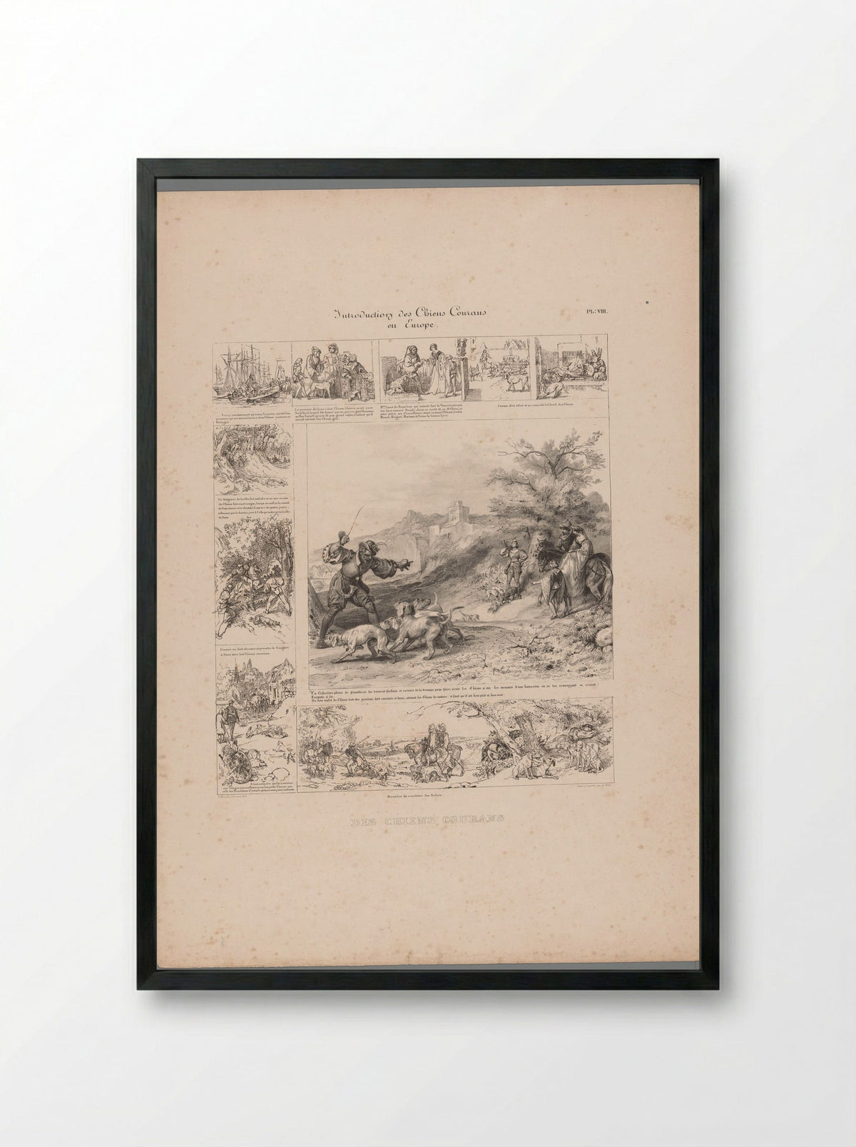 Introduction des Chiens Courans en Europe - Charles Aubry - Framed Print Black