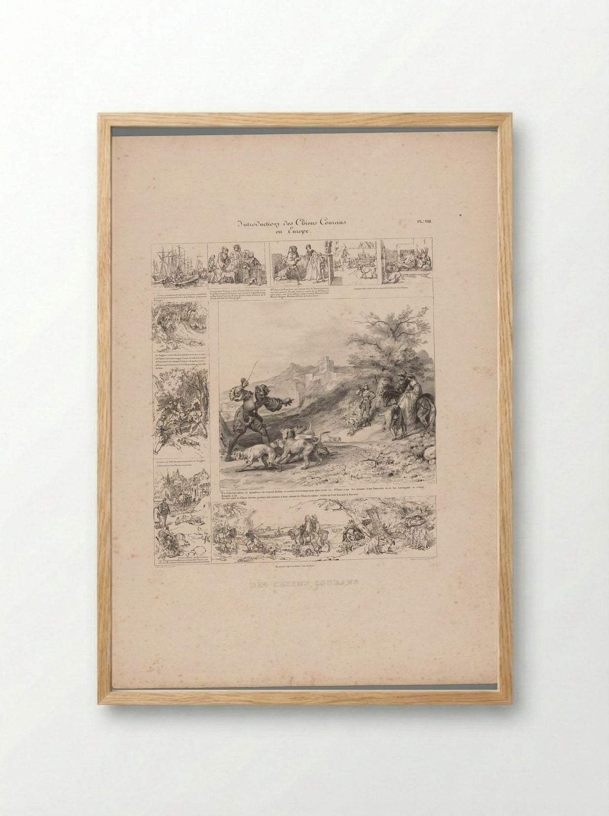 Introduction des Chiens Courans en Europe - Charles Aubry - Framed Print Wood