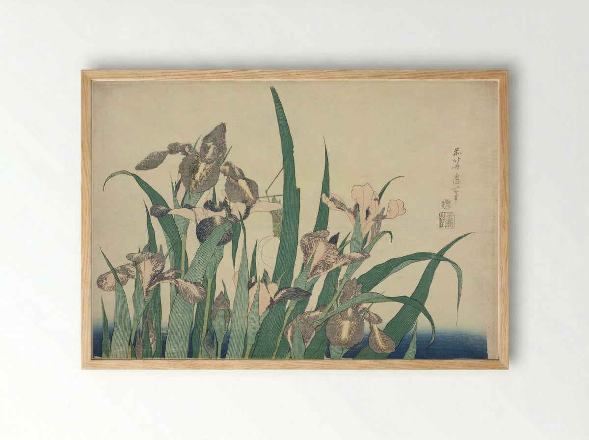 Iris and Grasshopper - Katsushika Hokusai - Framed Print Wood