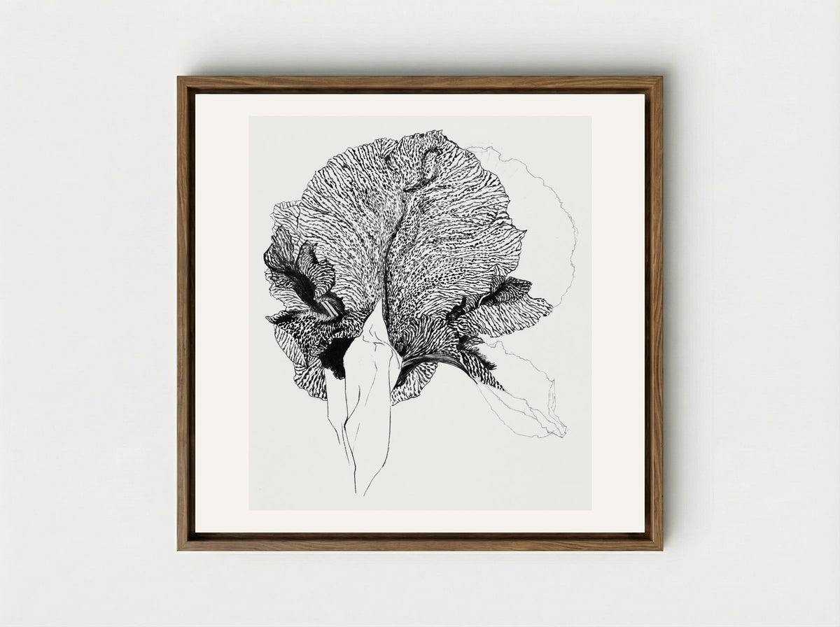 Iris - Julie de Graag - Framed Canvas Wood