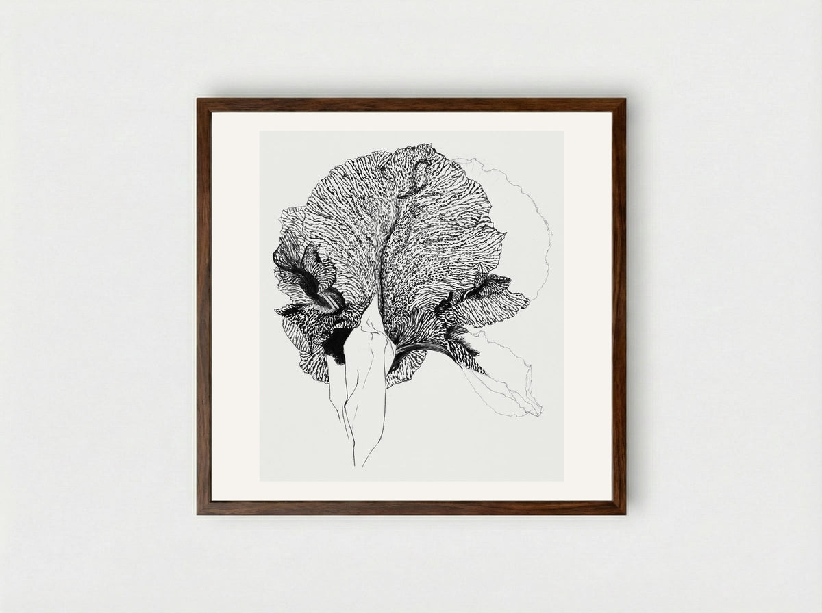 Iris - Julie de Graag - Framed Print Dark Wood