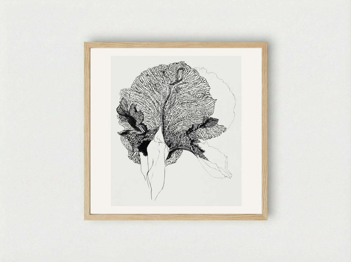 Iris - Julie de Graag - Framed Print Wood