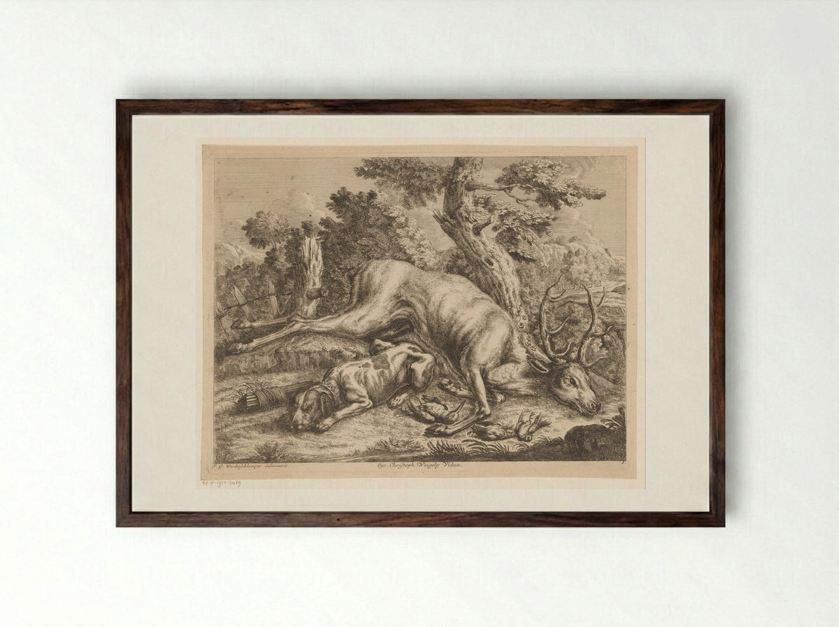 Jachthond en jachtbuit met hert en vogels - Johann Georg Wachsschlunger - Framed Print Dark Wood