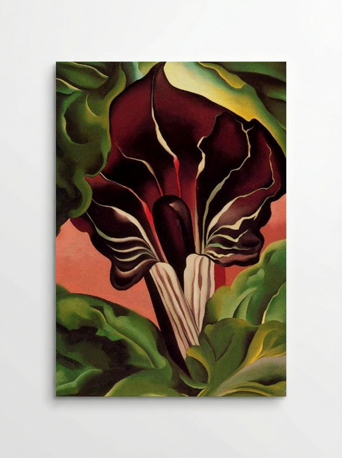 Jack-in-the-Pulpit II - Georgia O'Keeffe - Poster
