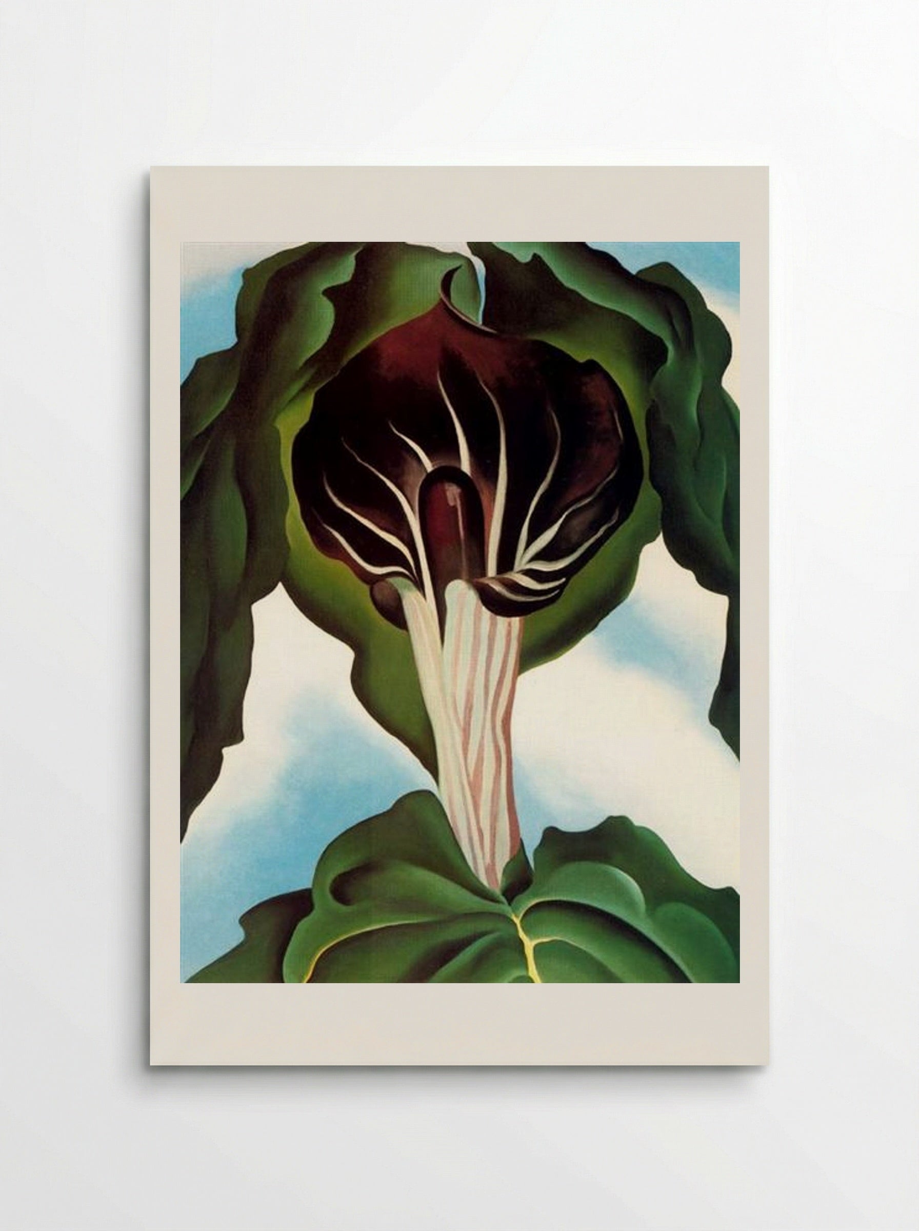 Jack-in-the-Pulpit No. III - Georgia O'Keeffe - Poster