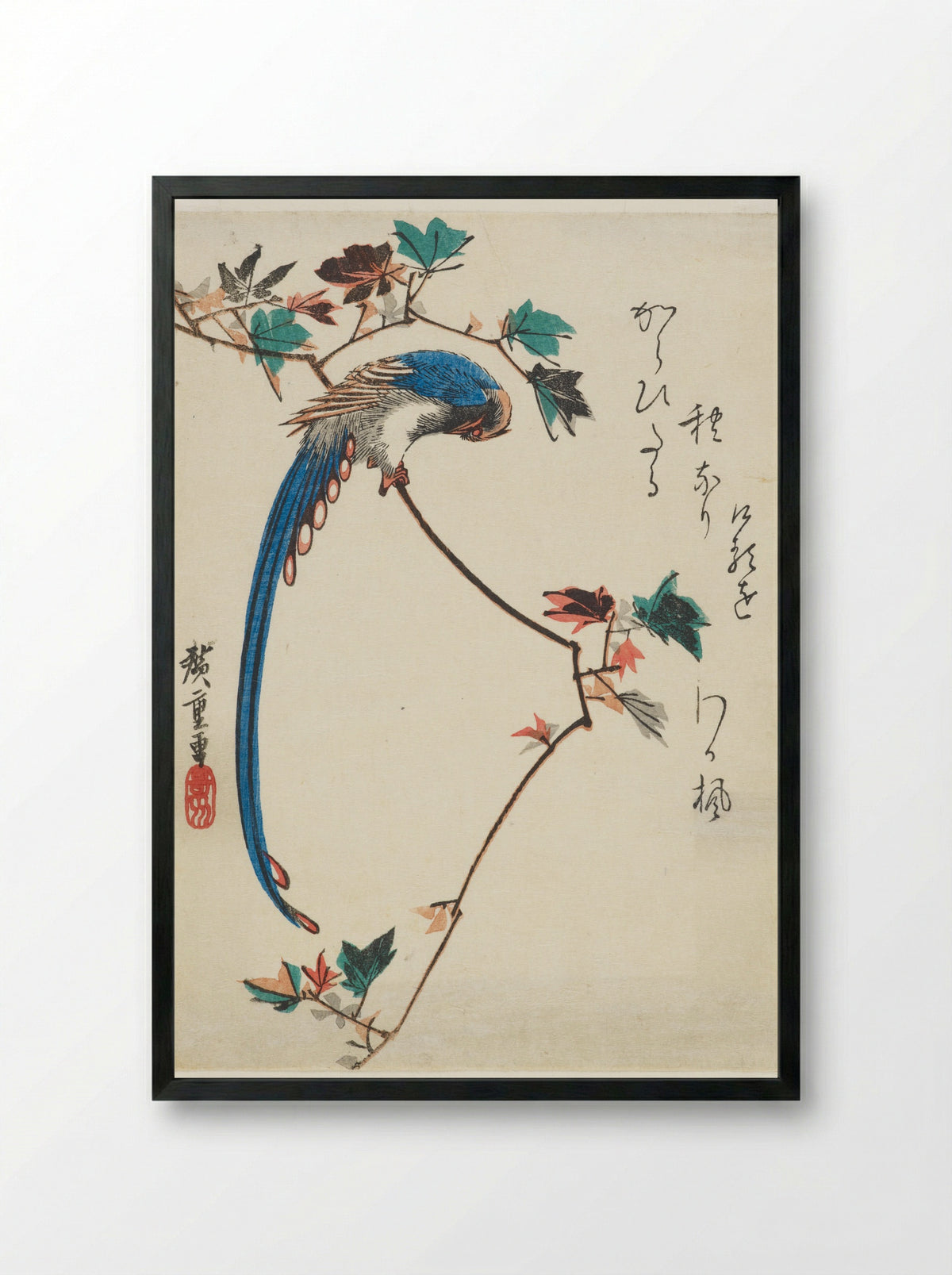 Japanese Paradise Flycatcher on a Maple Branch - Utagawa Hiroshige - Framed Print Black