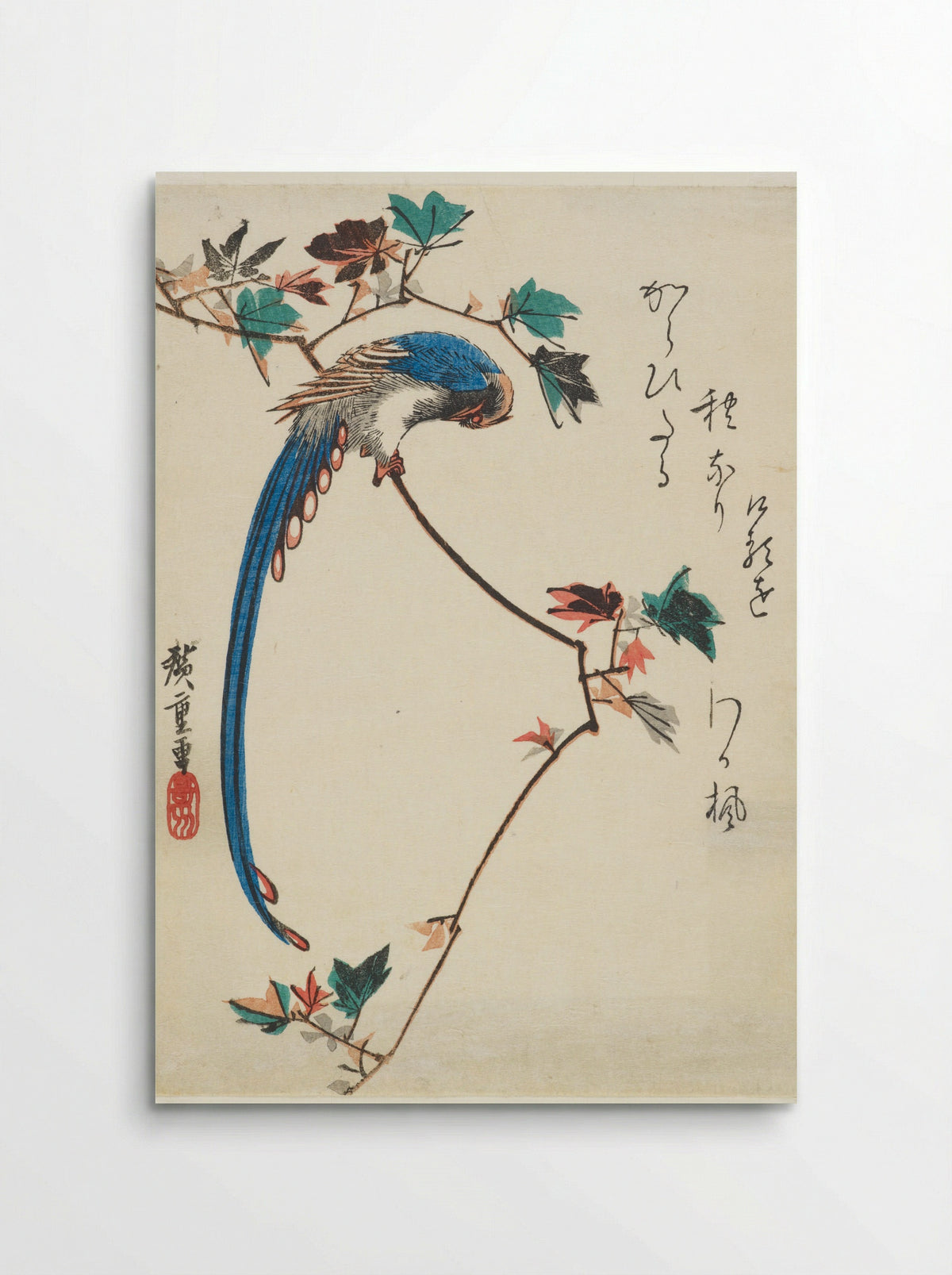 Japanese Paradise Flycatcher on a Maple Branch - Utagawa Hiroshige - Poster