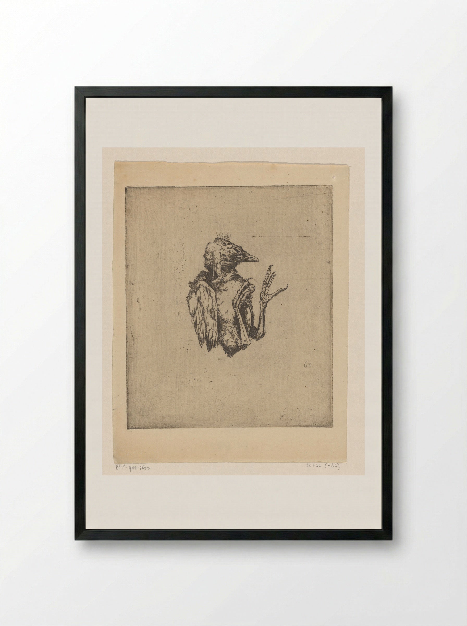 Jonge dode vogel - Philip Zilcken - Framed Print Black