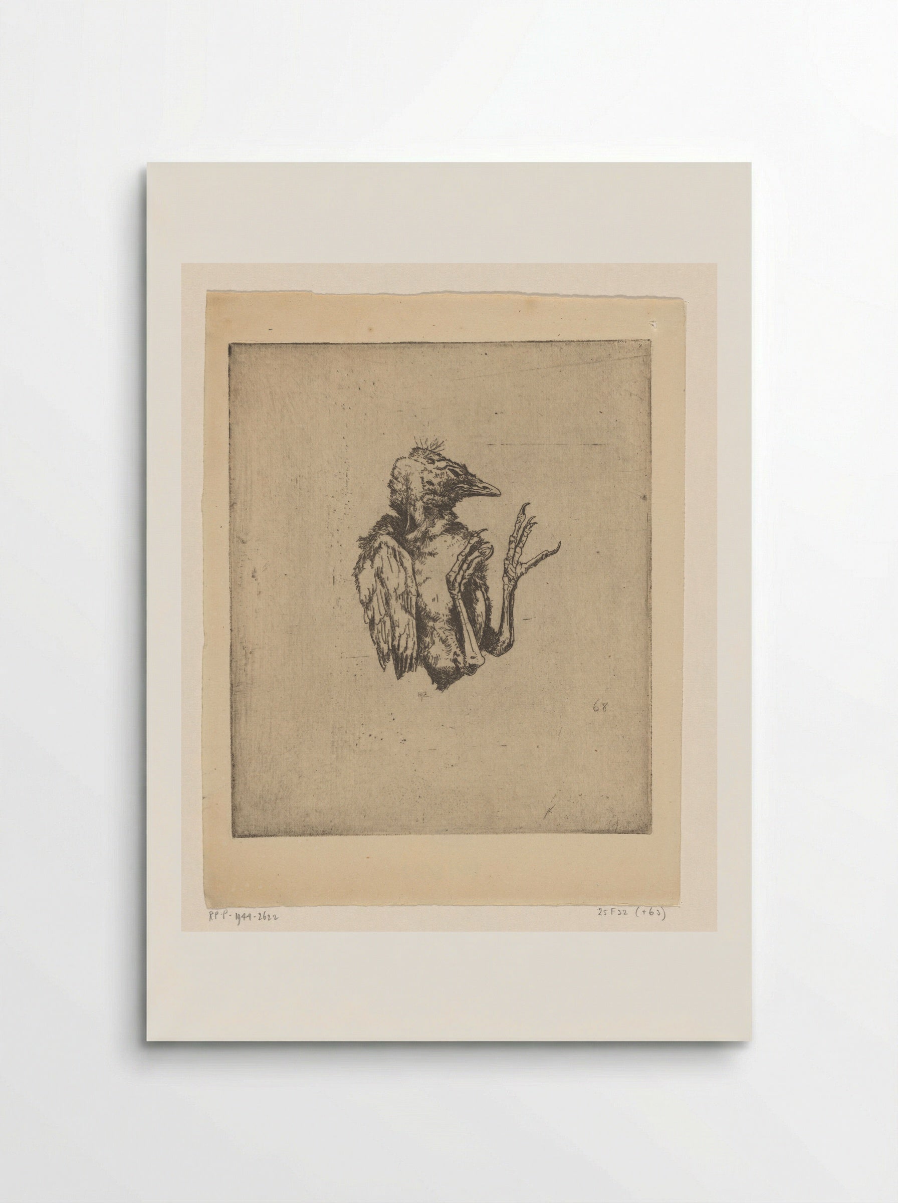 Jonge dode vogel - Philip Zilcken - Poster