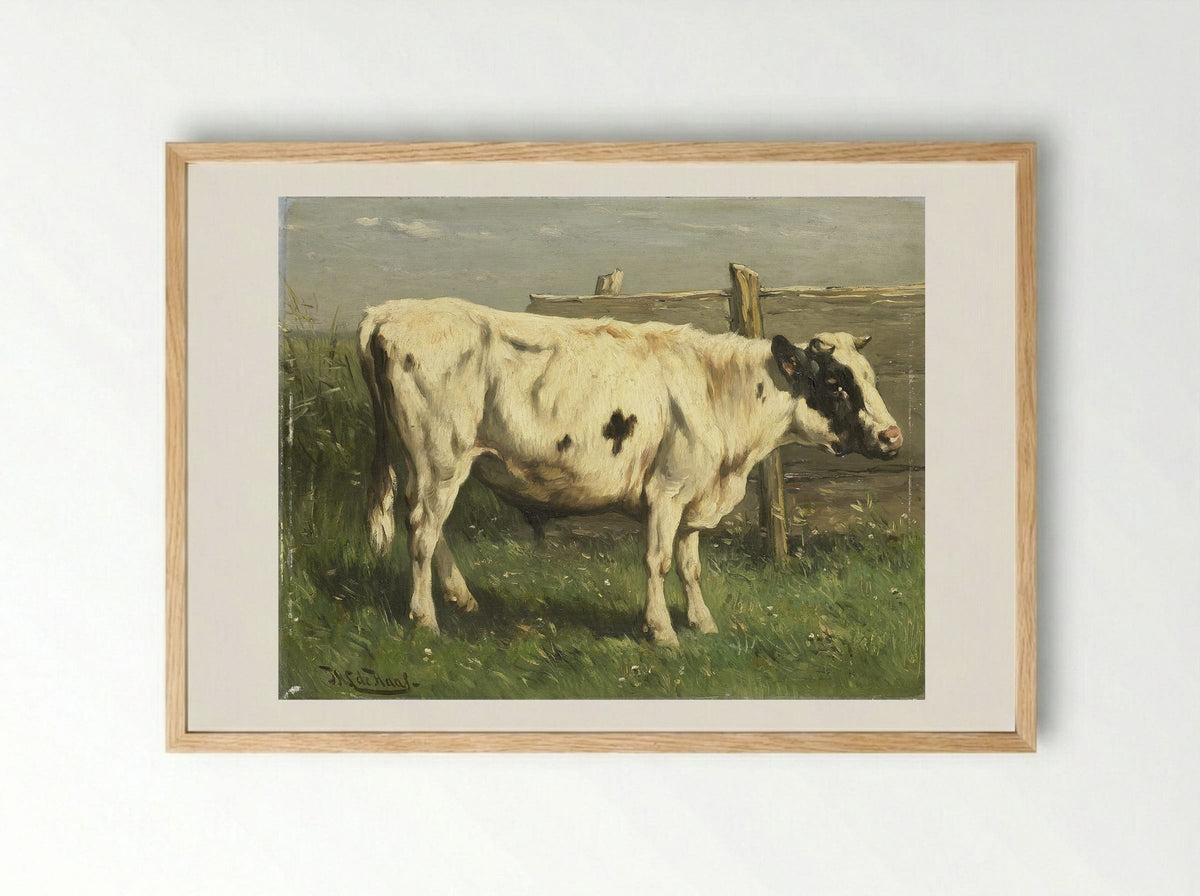 Jonge stier (Young Bull) - Johannes Hubertus Leonardus de Haas - Framed Print Wood