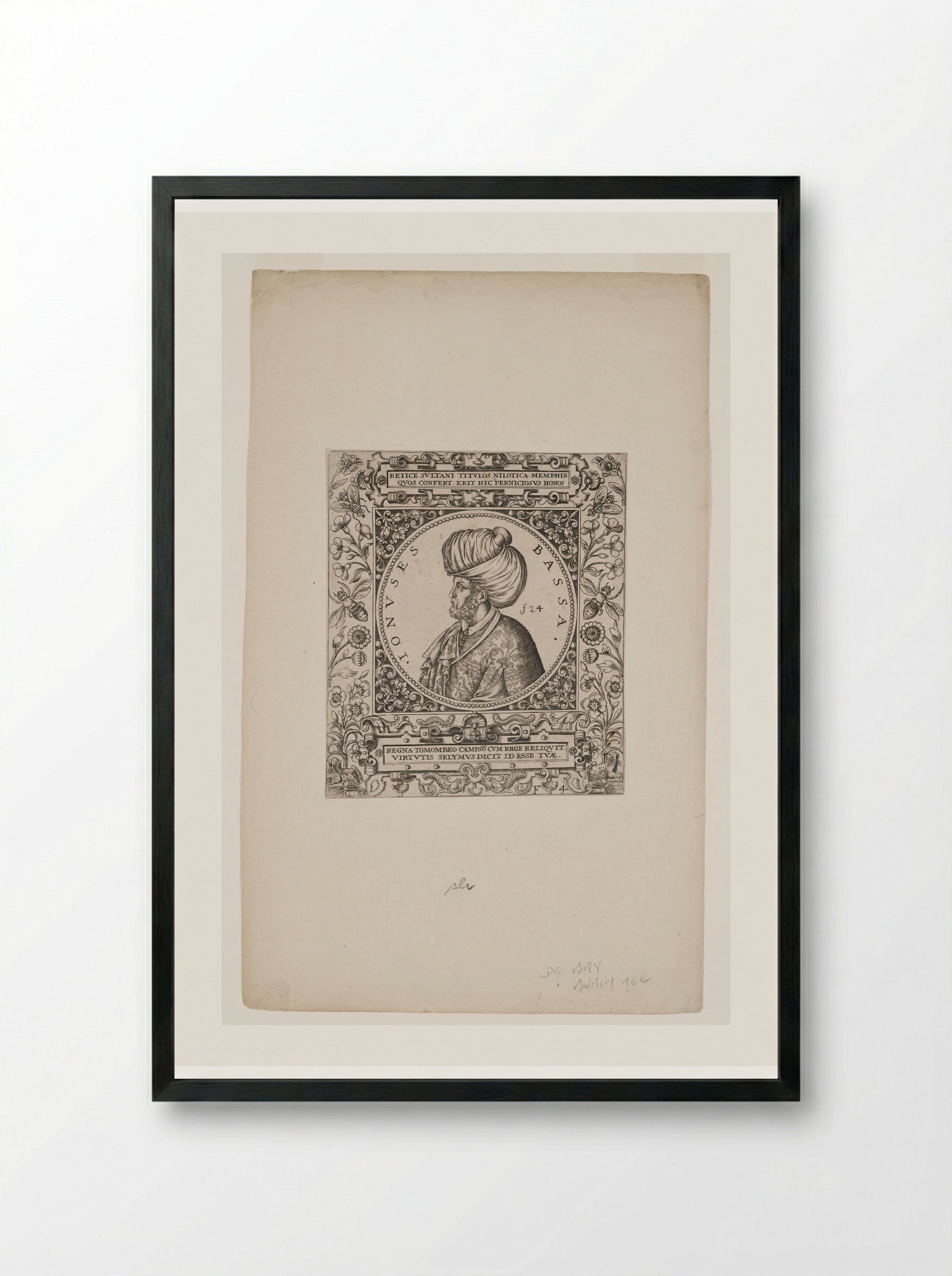 Jonuses Bassa - Theodor de Bry - Framed Print Black
