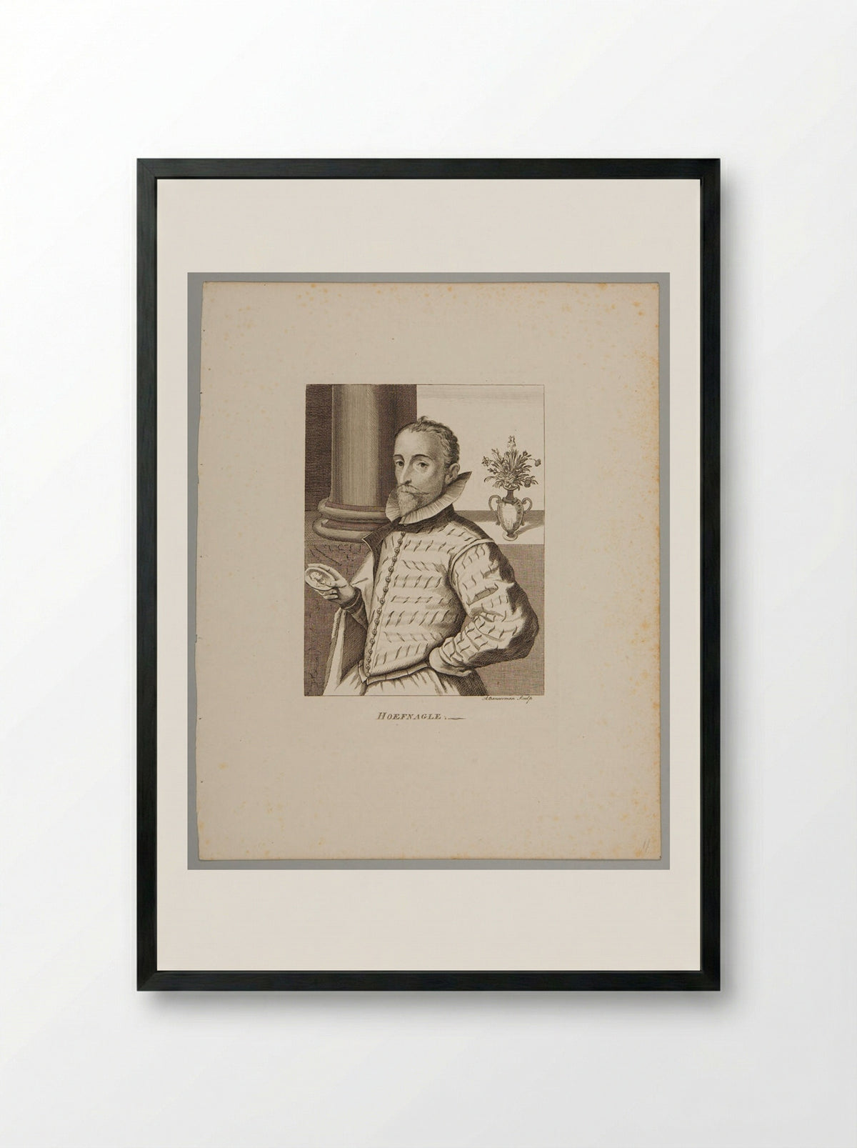 Joris Hoefnagel - Alexander Bannerman - Framed Print Black