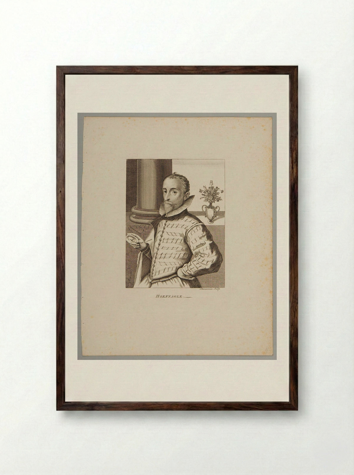 Joris Hoefnagel - Alexander Bannerman - Framed Print Dark Wood