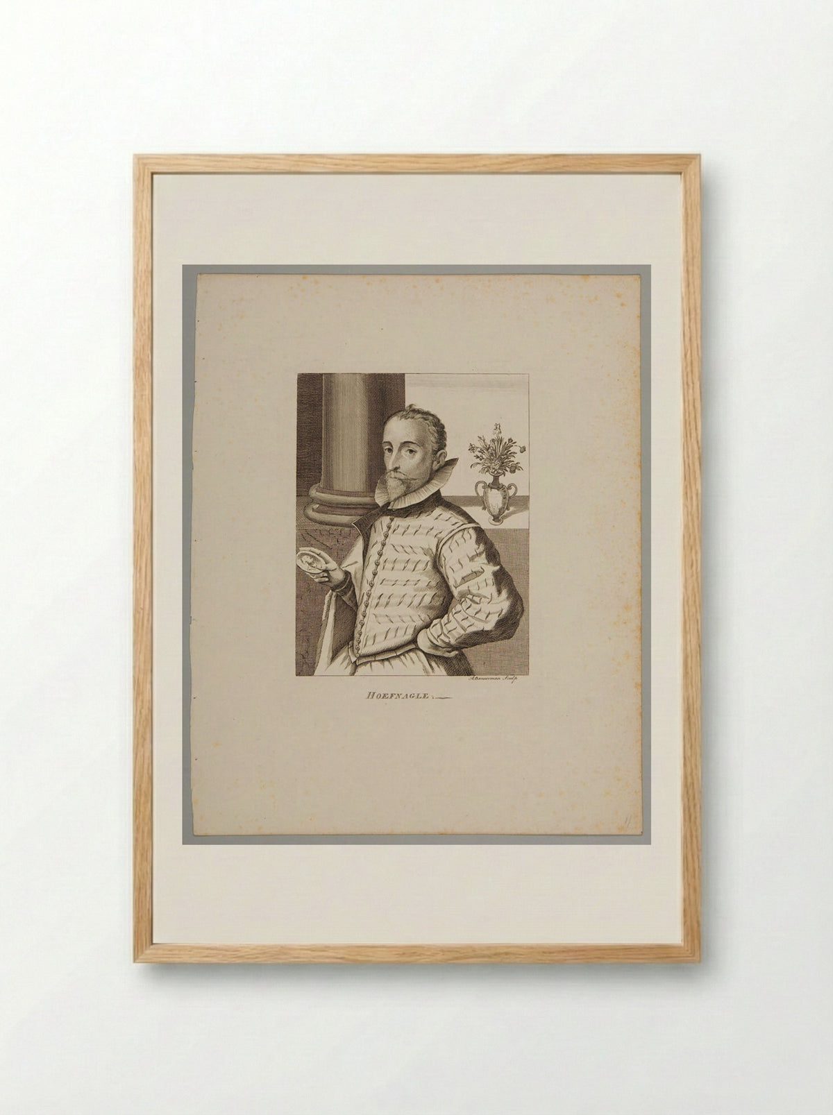 Joris Hoefnagel - Alexander Bannerman - Framed Print Wood