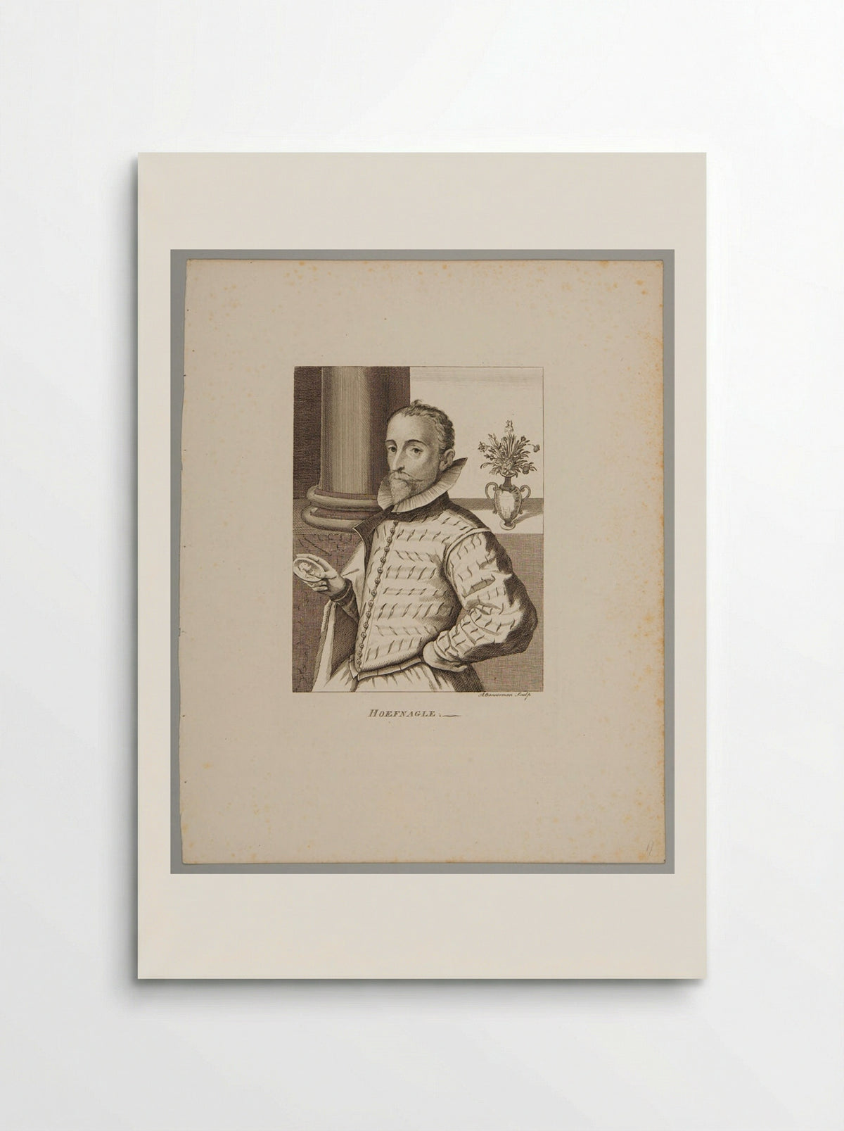 Joris Hoefnagel - Alexander Bannerman - Poster