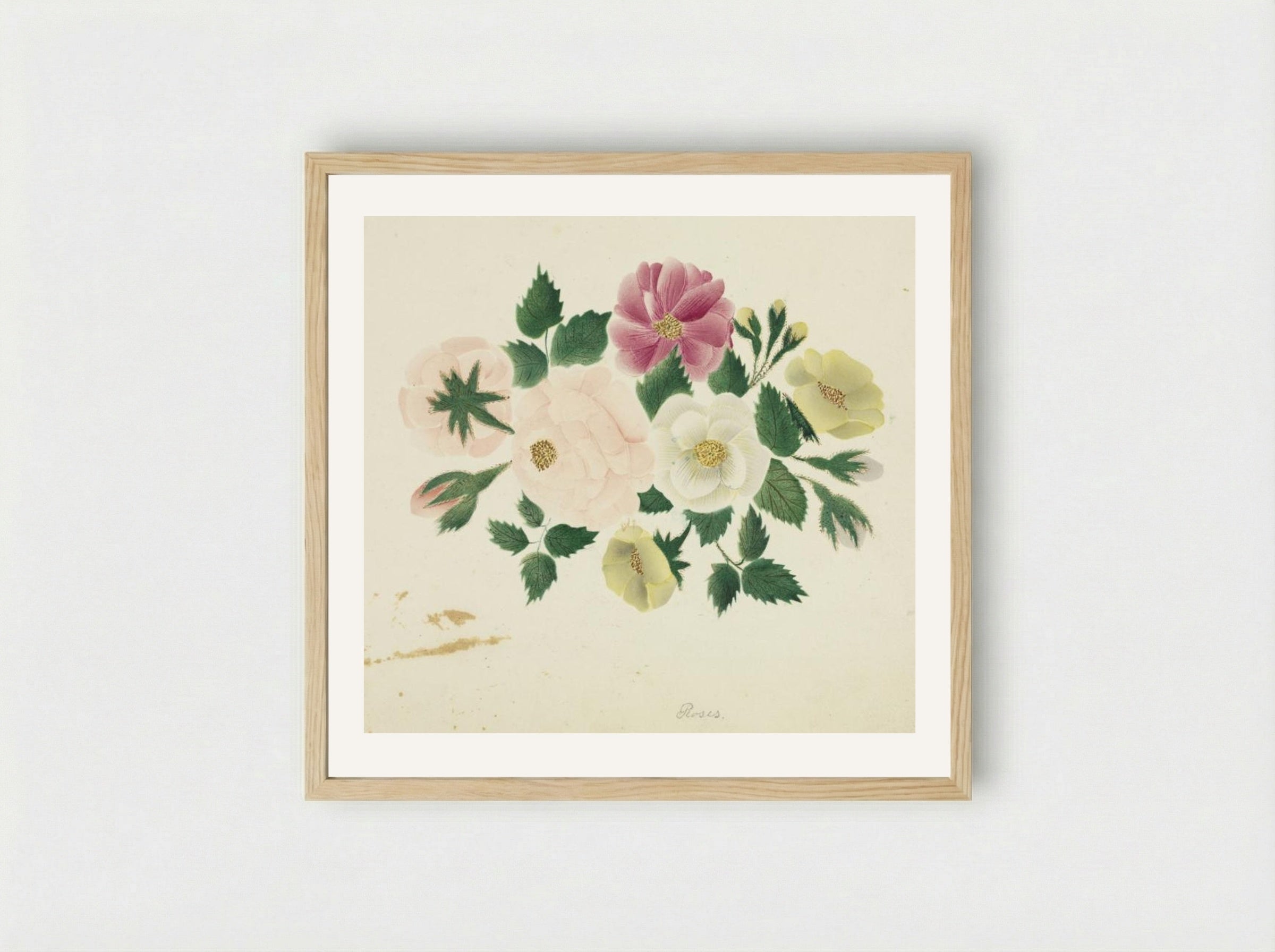 June Roses - Mary Altha Nims - Framed Print Wood