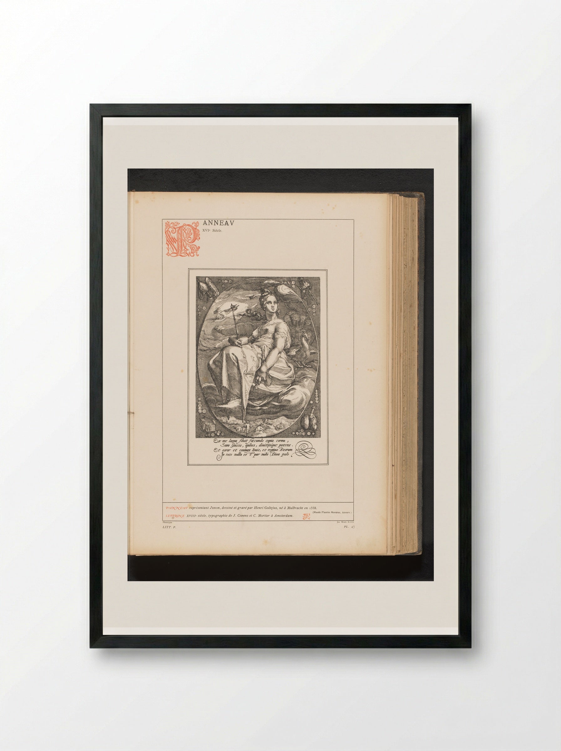 Juno - Hendrick Goltzius - Framed Print Black