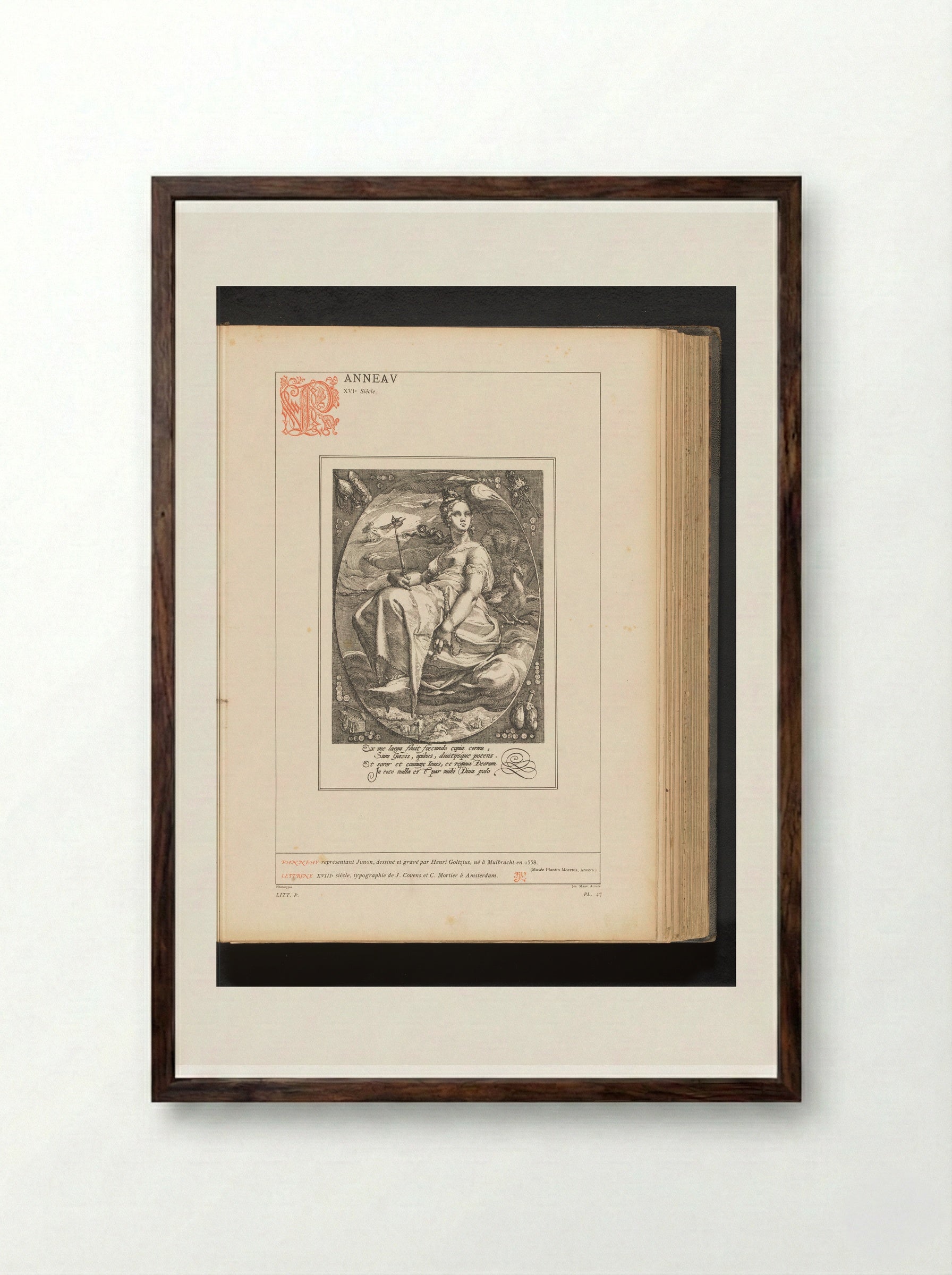 Juno - Hendrick Goltzius - Framed Print Dark Wood