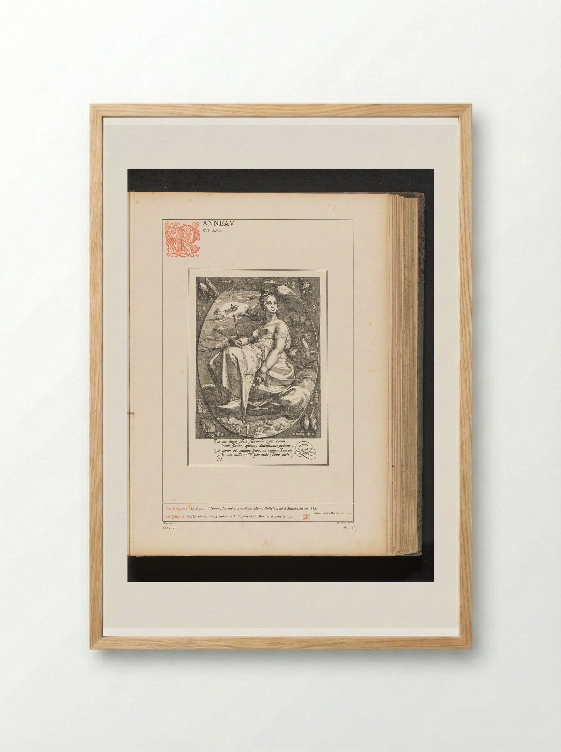Juno - Hendrick Goltzius - Framed Print Wood
