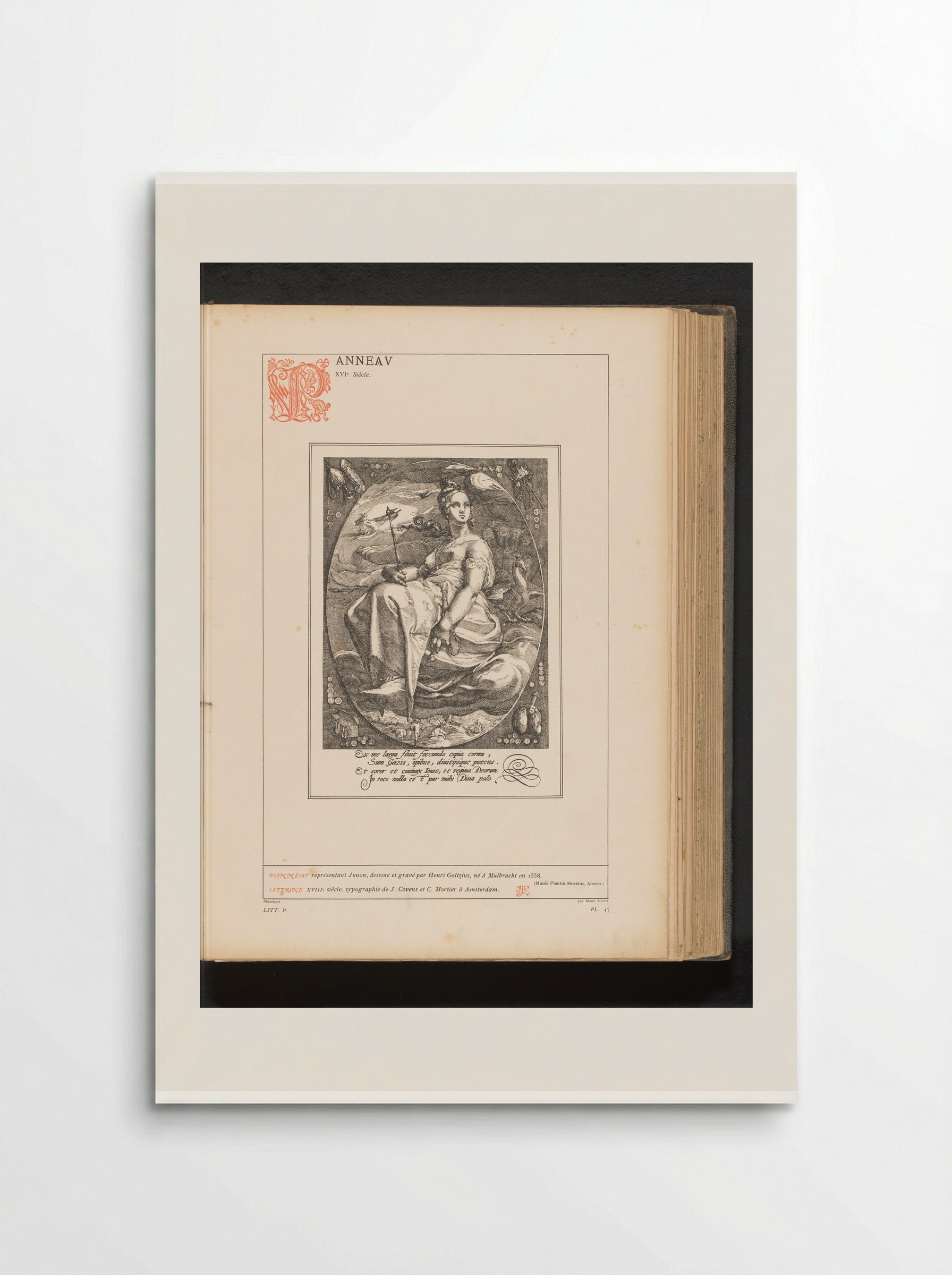 Juno - Hendrick Goltzius - Poster