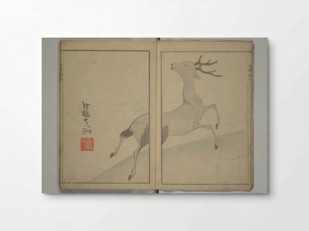 Kōrin's Painting Style (Kōrin gashiki) - Aikawa Minwa - Poster