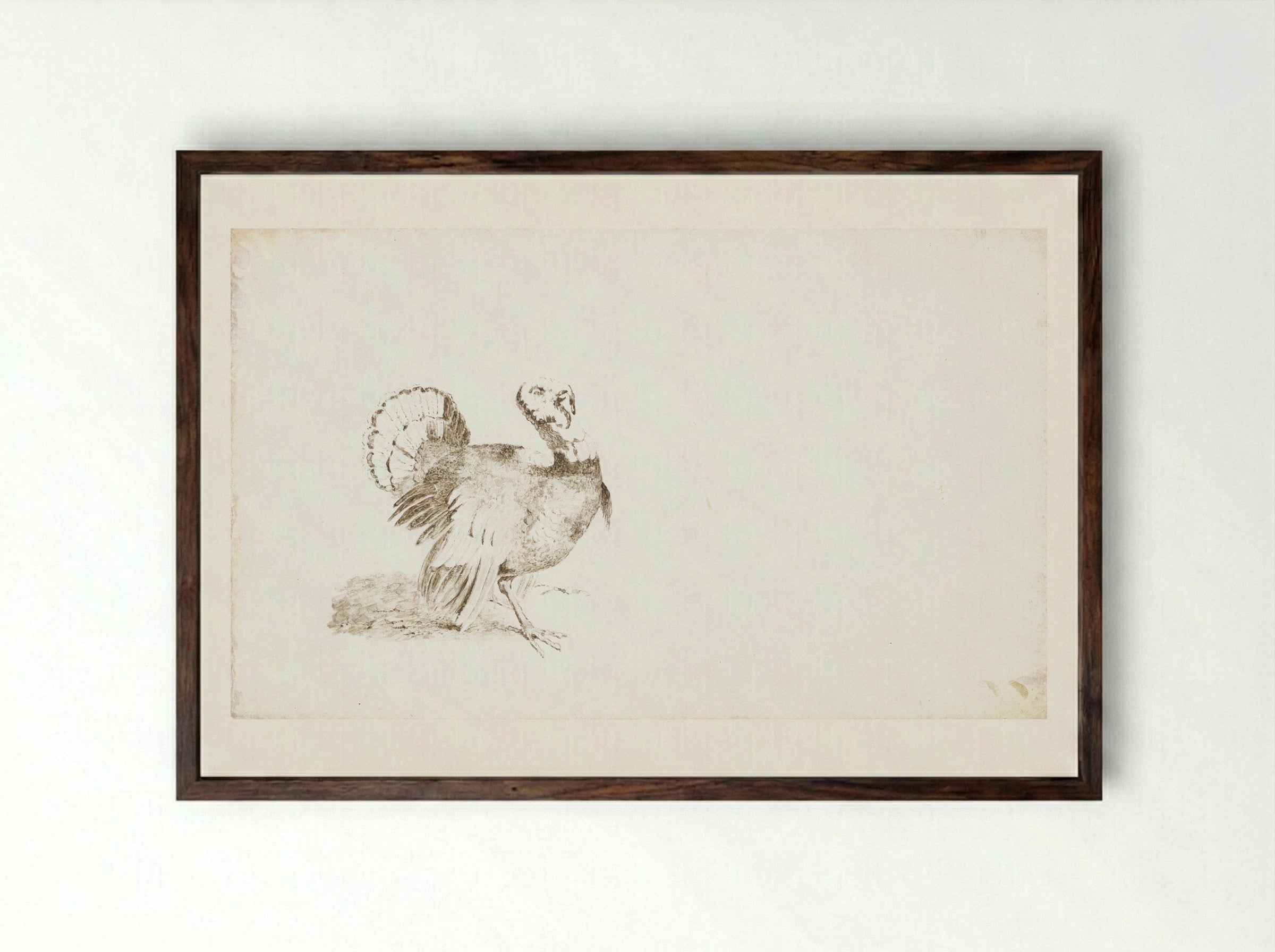 Kalkoen (Turkey) - Pieter van Loon - Framed Print Dark Wood
