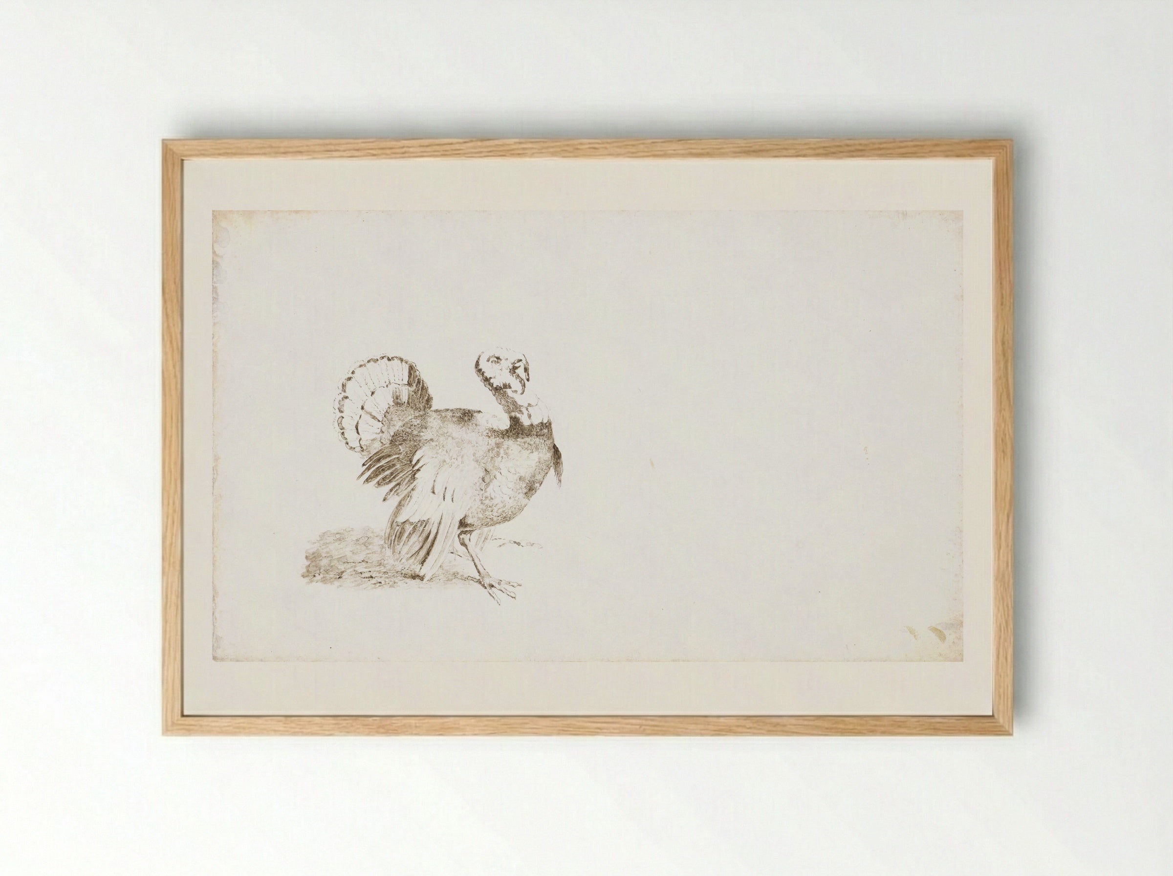 Kalkoen (Turkey) - Pieter van Loon - Framed Print Wood