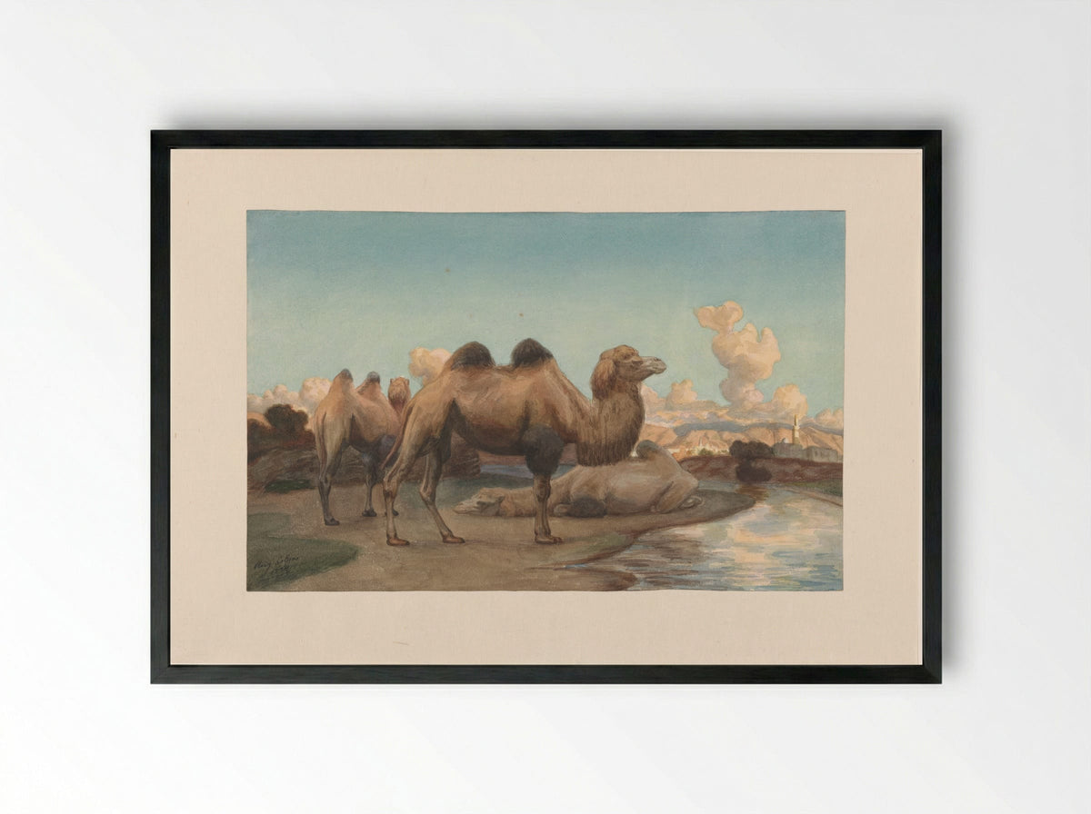 Kamelen in een landschap - August Le Gras - Framed Print Black