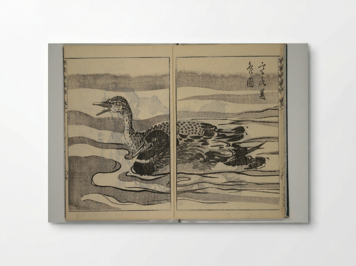 Kan'yōsai Picture Album - Tatebe Ayatari - Poster