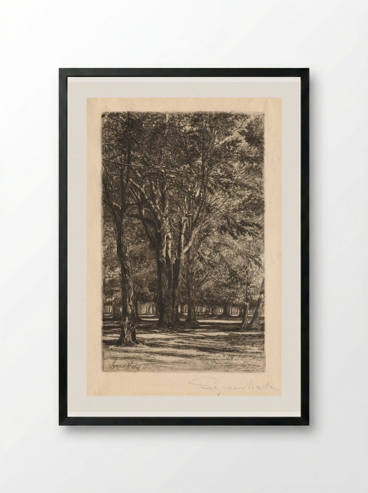 Kensington Gardens - Francis Seymour Haden - Framed Print Black