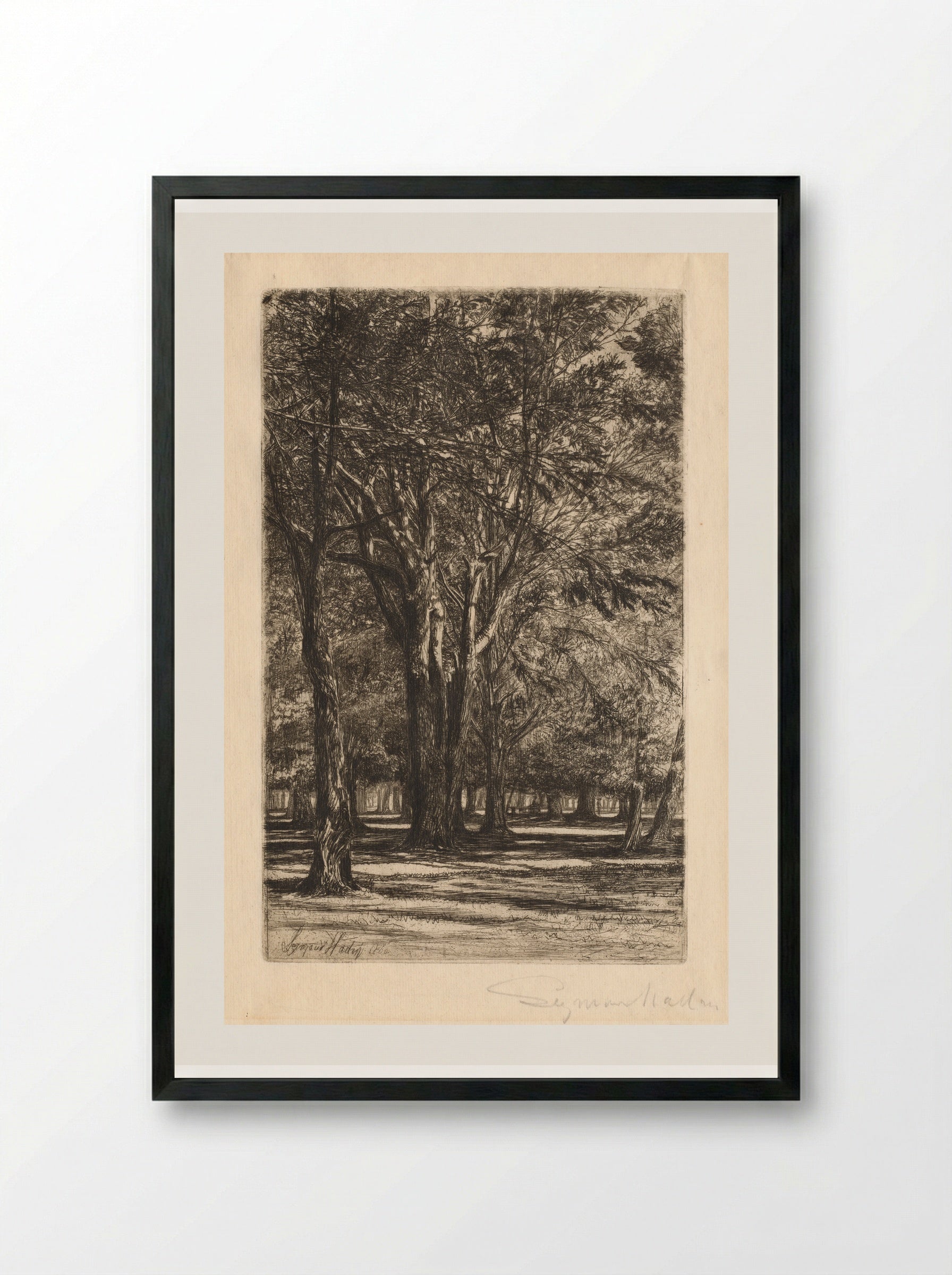 Kensington Gardens - Francis Seymour Haden - Framed Print Black