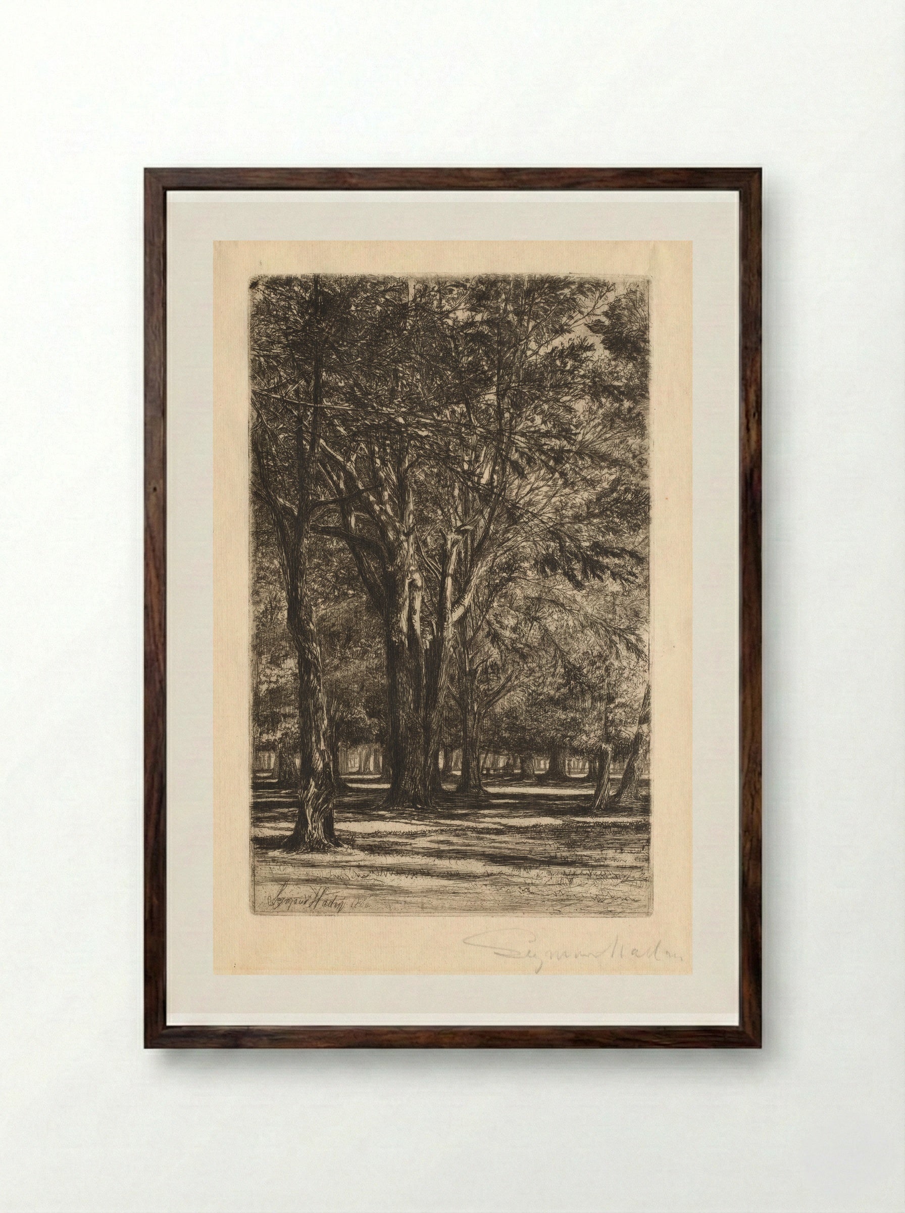 Kensington Gardens - Francis Seymour Haden - Framed Print Dark Wood
