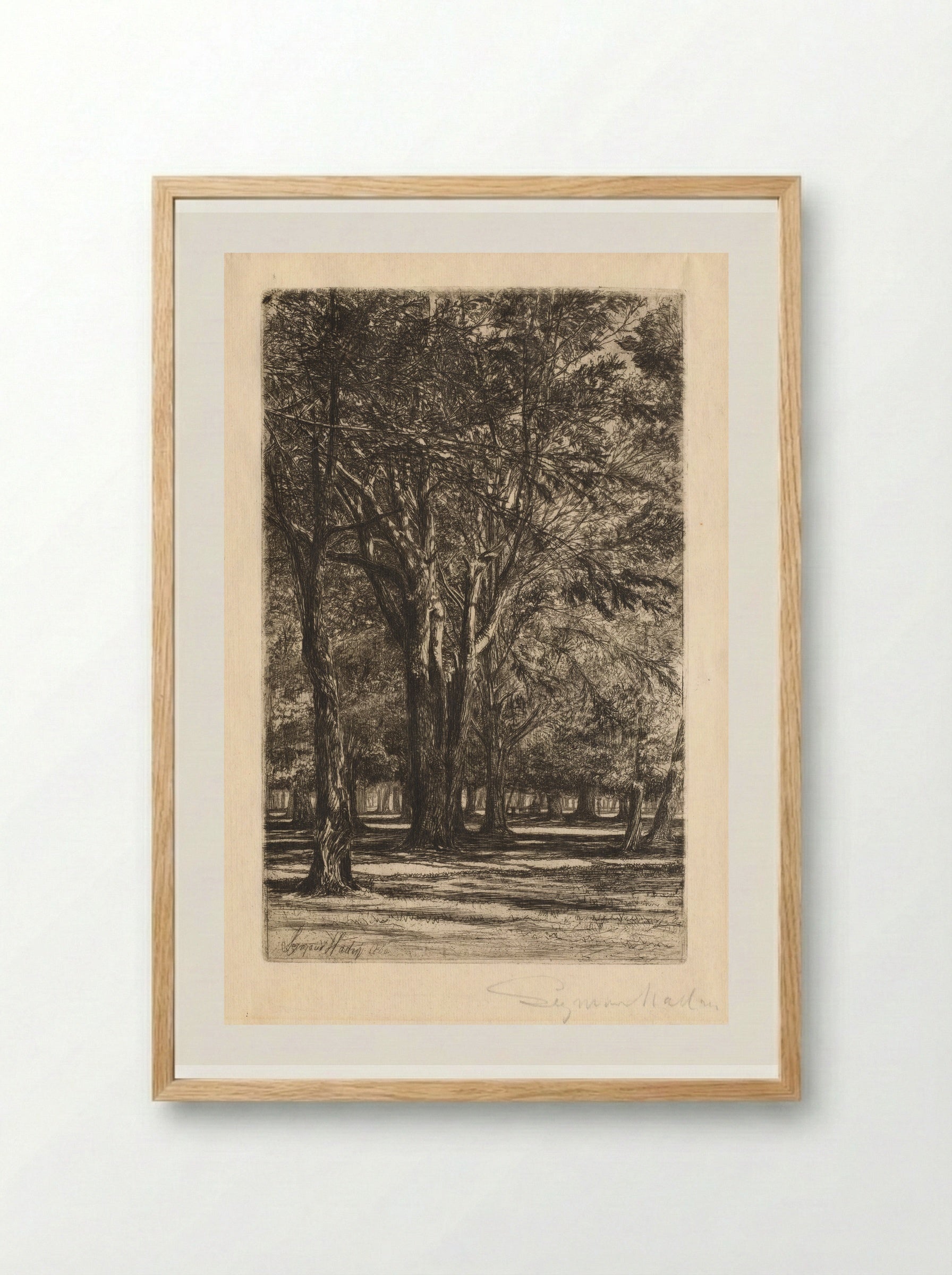 Kensington Gardens - Francis Seymour Haden - Framed Print Wood
