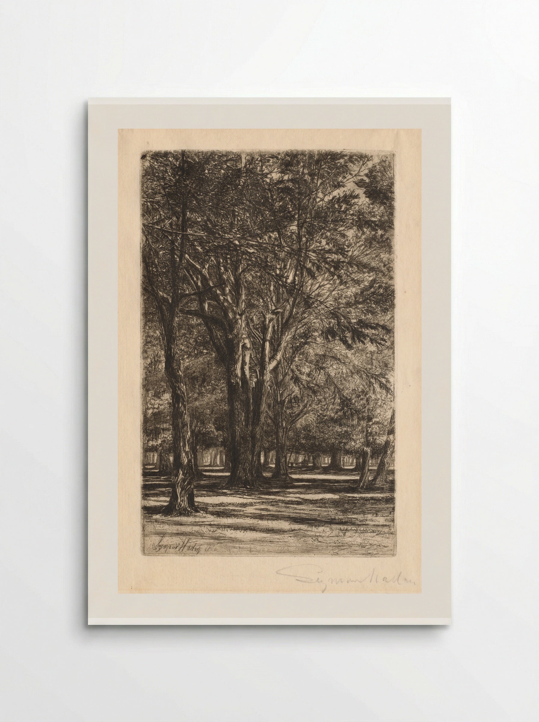 Kensington Gardens - Francis Seymour Haden - Poster