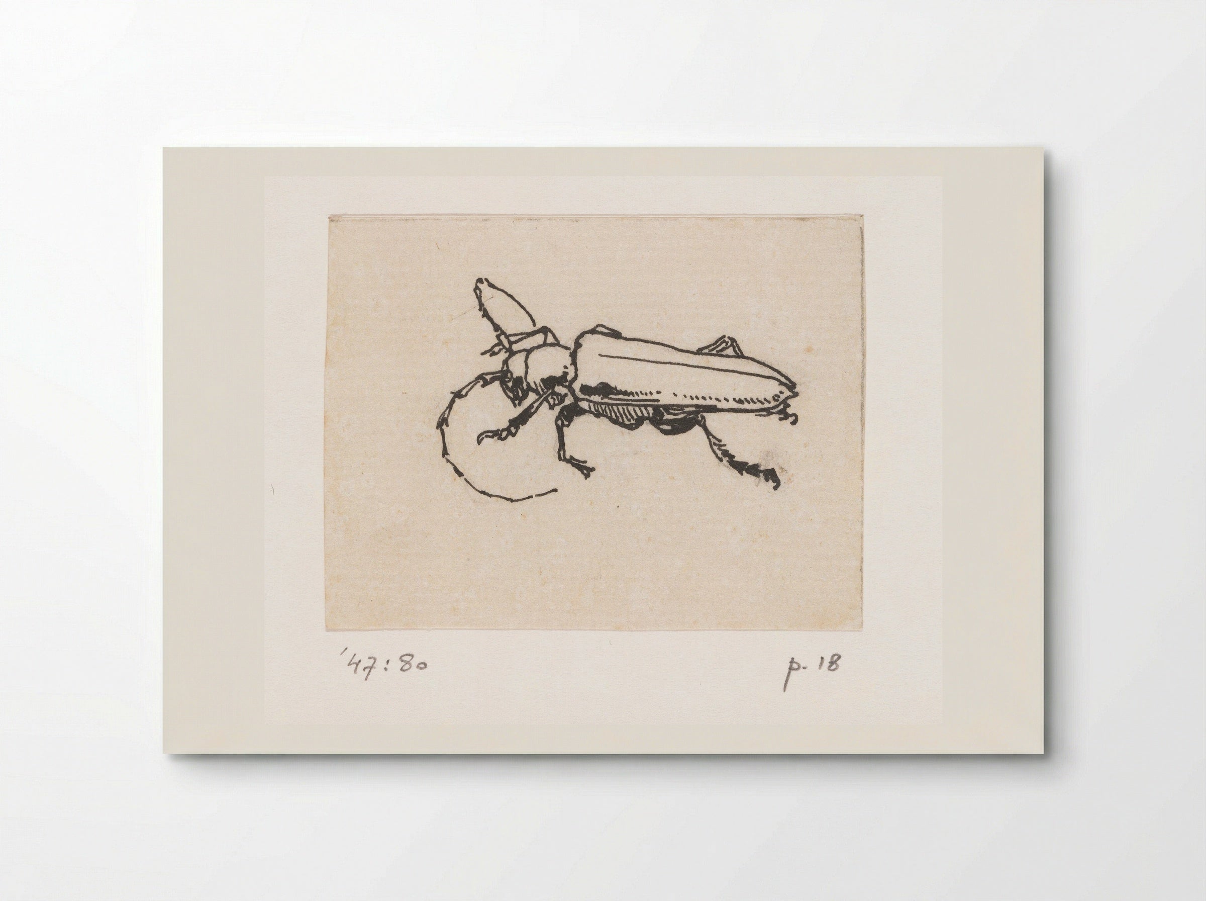 Kever (Beetle) - Willem Wenckebach - Poster
