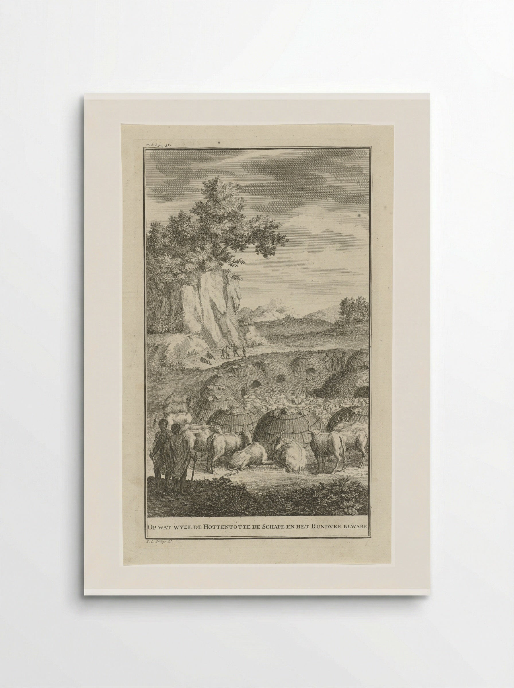 Khoikhoi bij een kraal met hun vee - Jan Caspar Philips - Poster