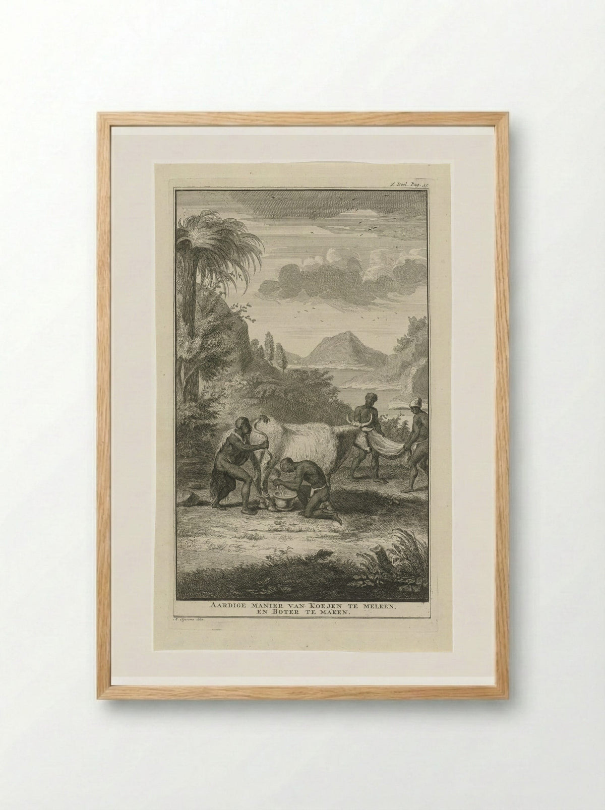 Khoikhoi die een koe melkt - Jan Caspar Philips - Framed Print Wood