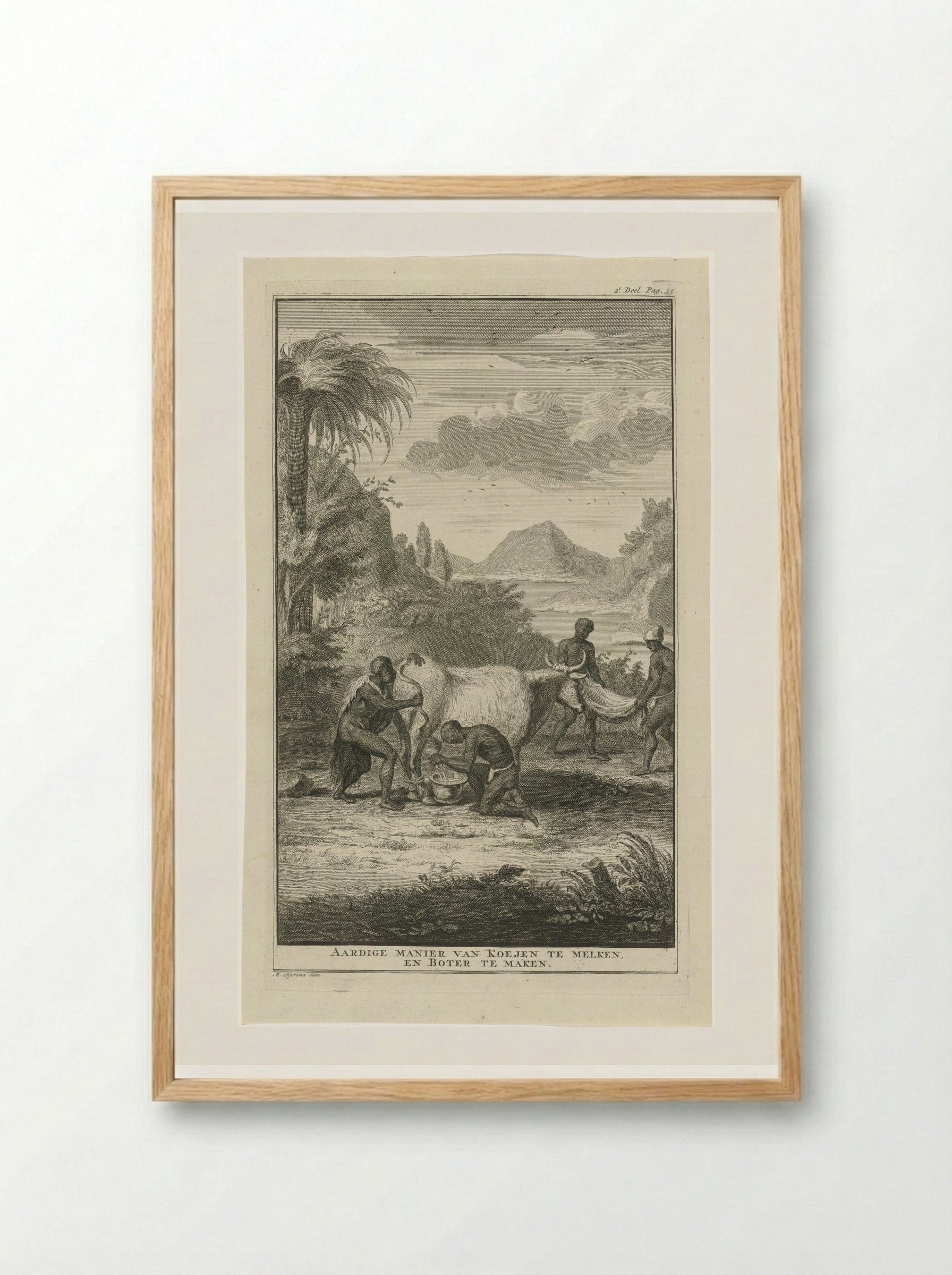 Khoikhoi die een koe melkt - Jan Caspar Philips - Framed Print Wood